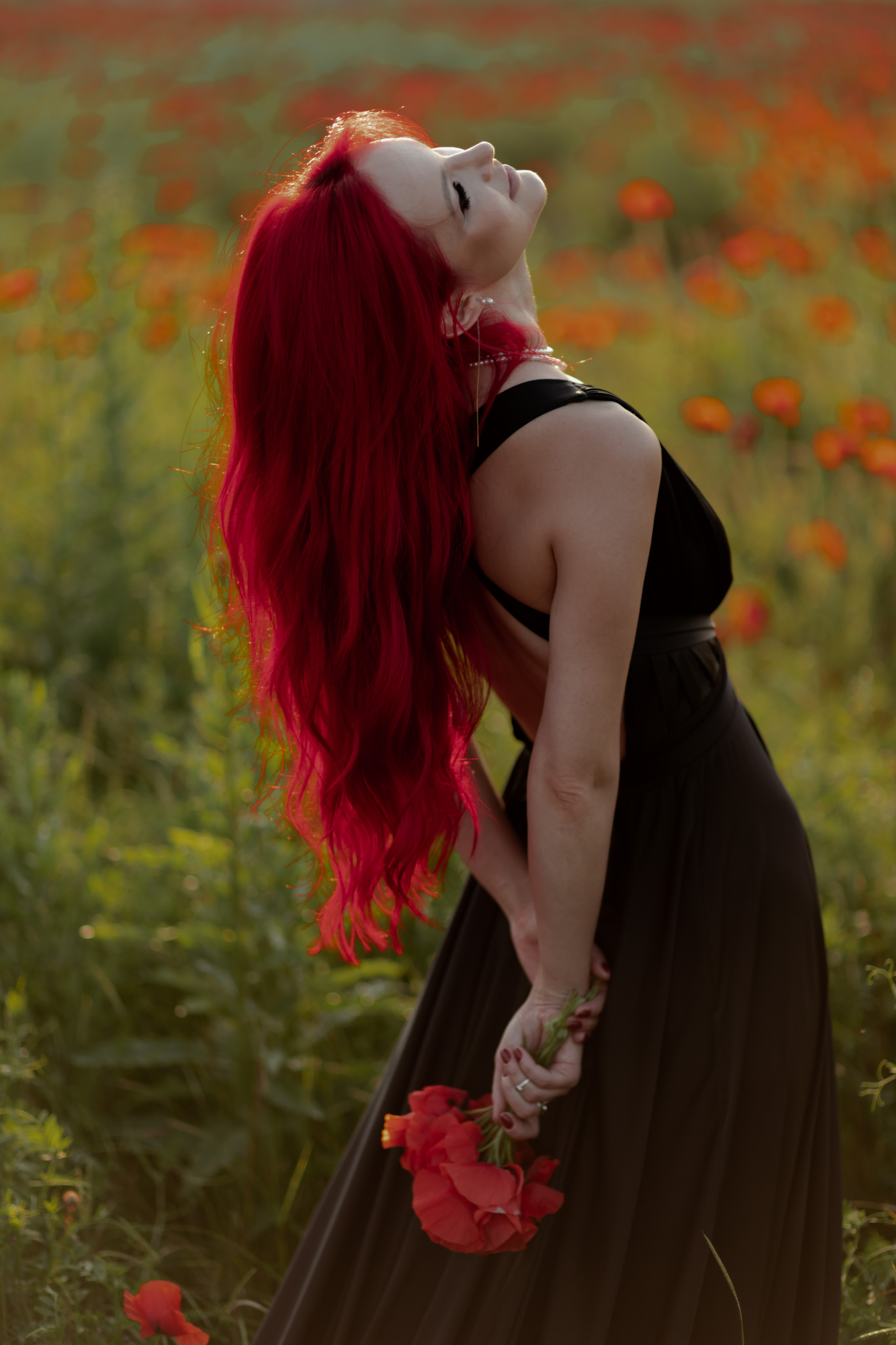 Маки. Фотограф в Краснодаре и Краснодарском Крае