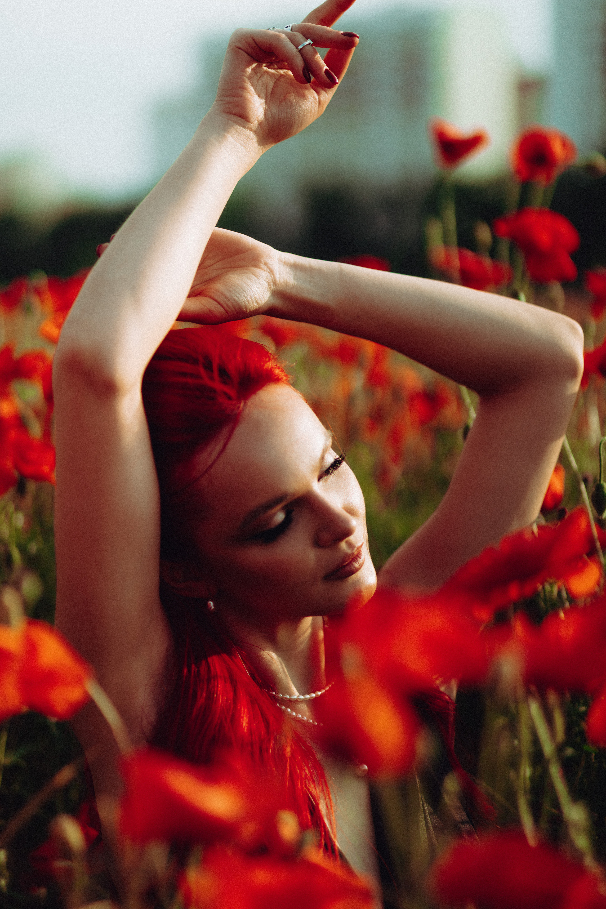 Маки. Фотограф в Краснодаре и Краснодарском Крае