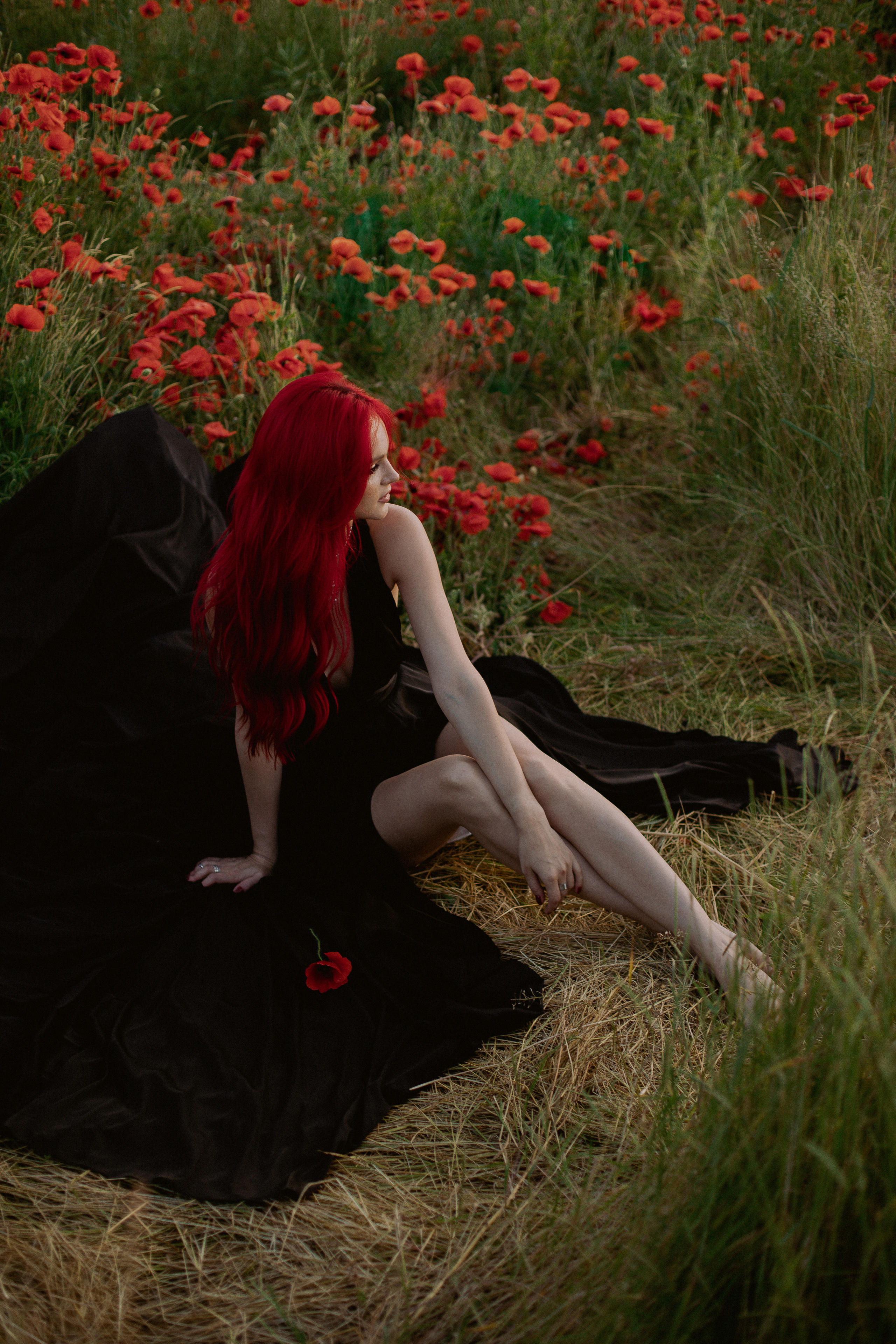 Маки. Фотограф в Краснодаре и Краснодарском Крае