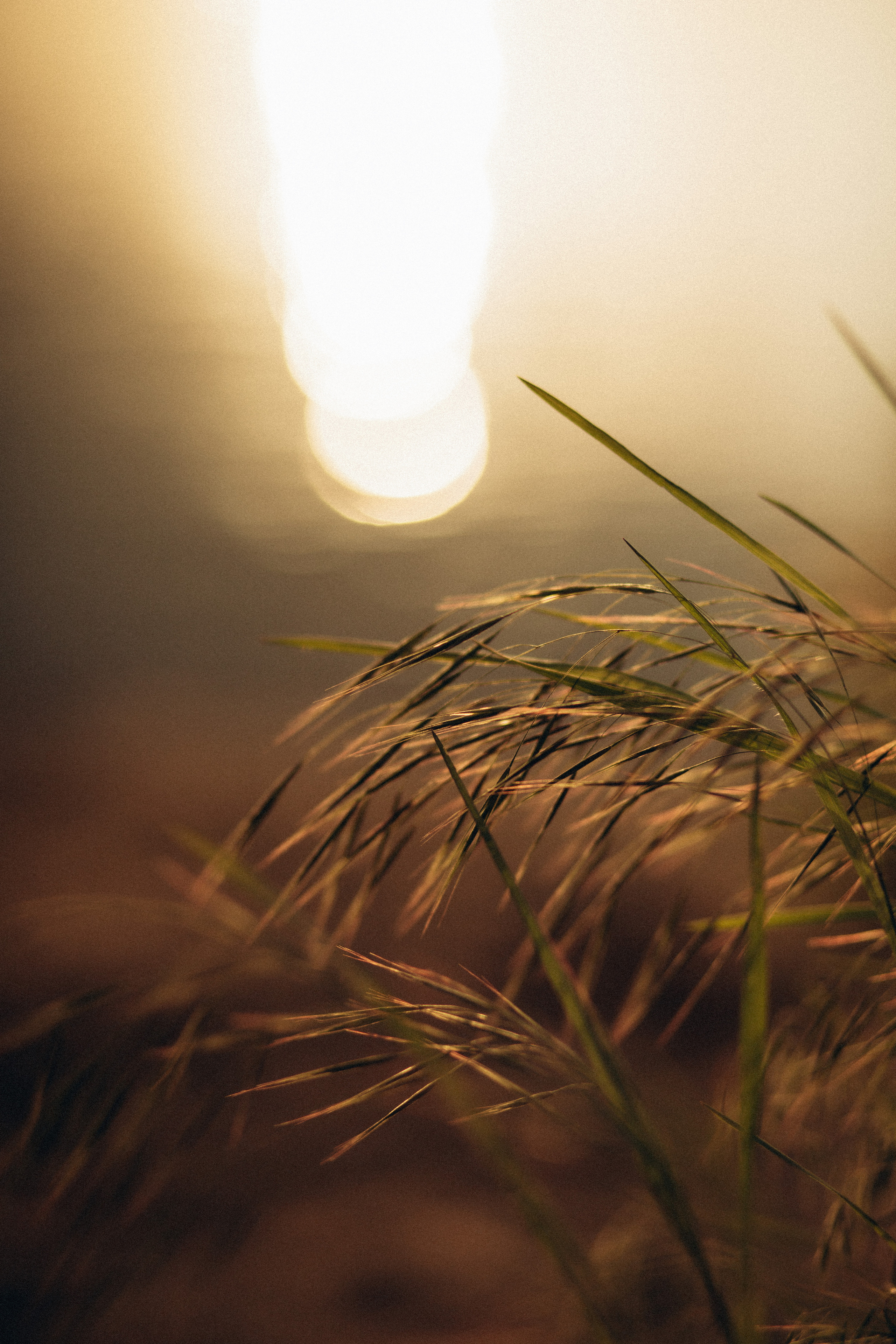 Волшебная Анна. Фотограф в Краснодаре и Краснодарском Крае