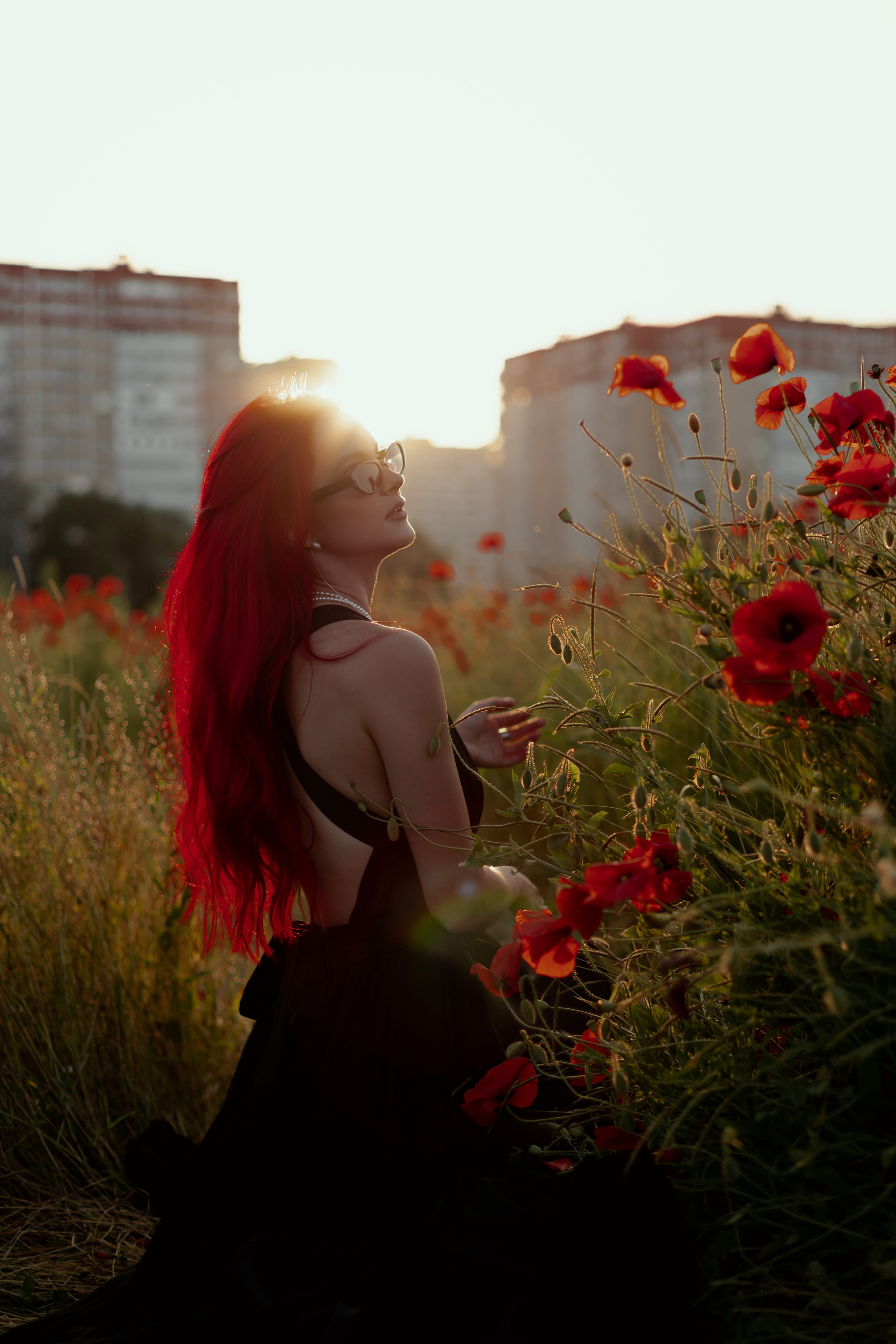 Маки. Фотограф в Краснодаре и Краснодарском Крае