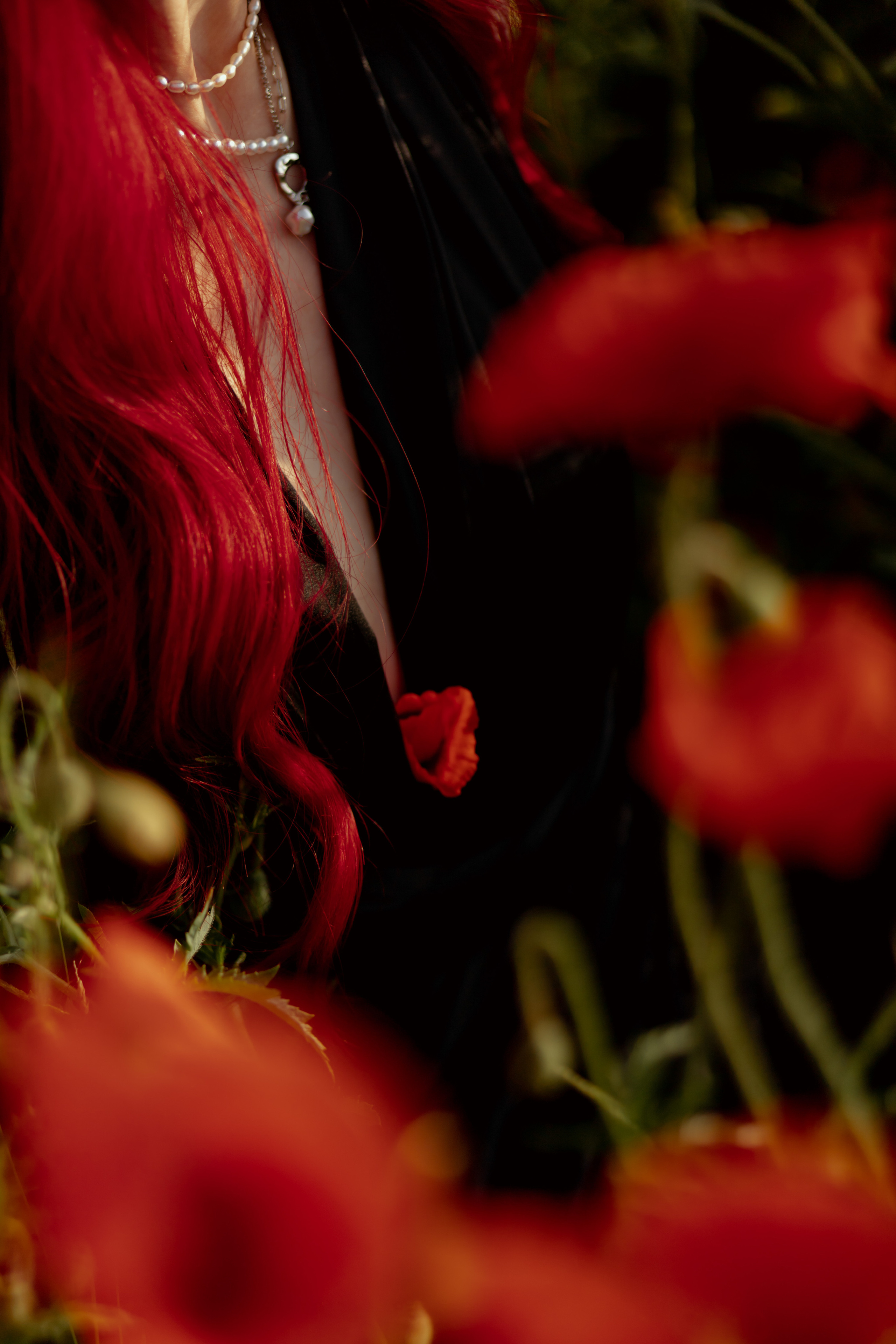 Маки. Фотограф в Краснодаре и Краснодарском Крае