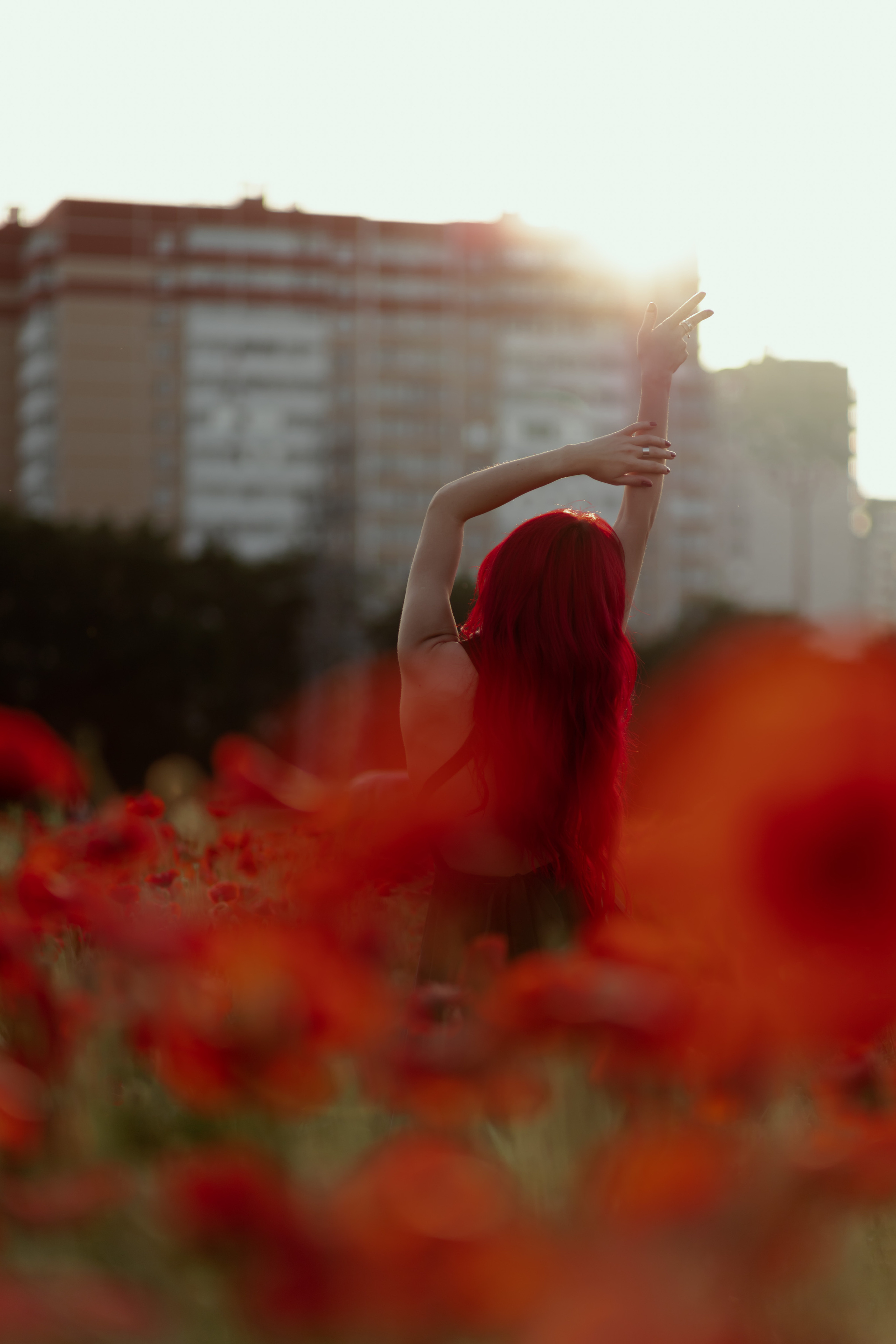 Маки. Фотограф в Краснодаре и Краснодарском Крае