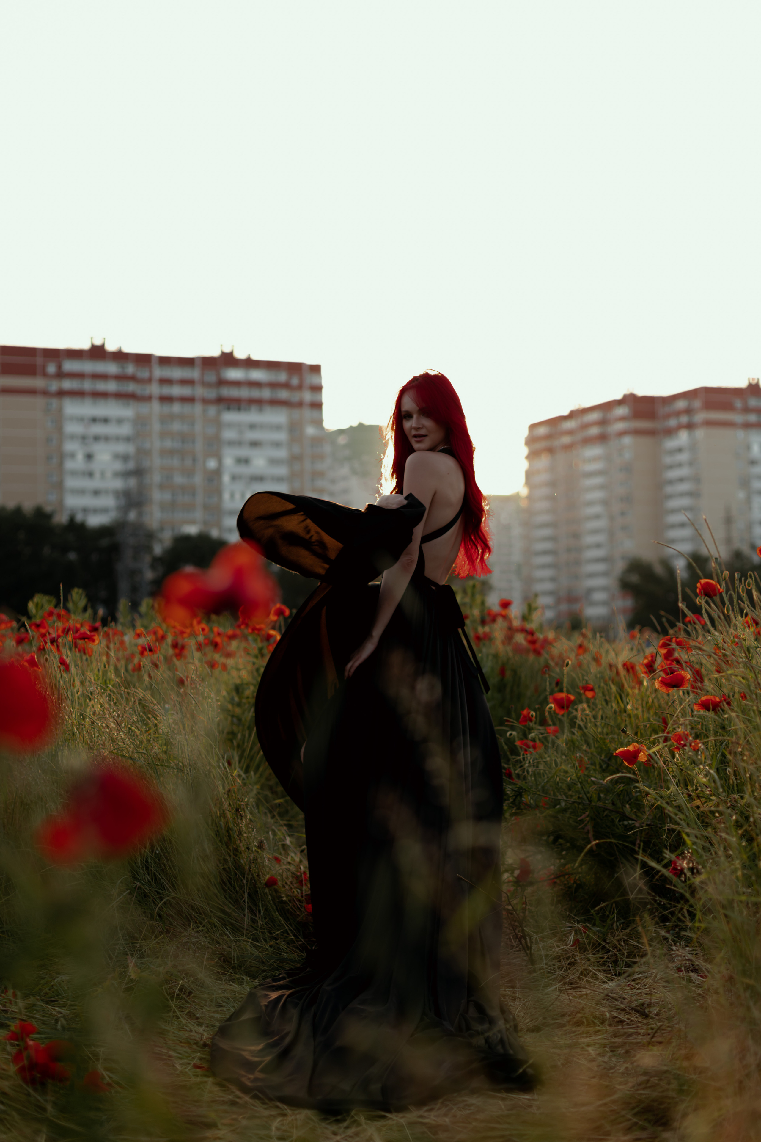 Маки. Фотограф в Краснодаре и Краснодарском Крае