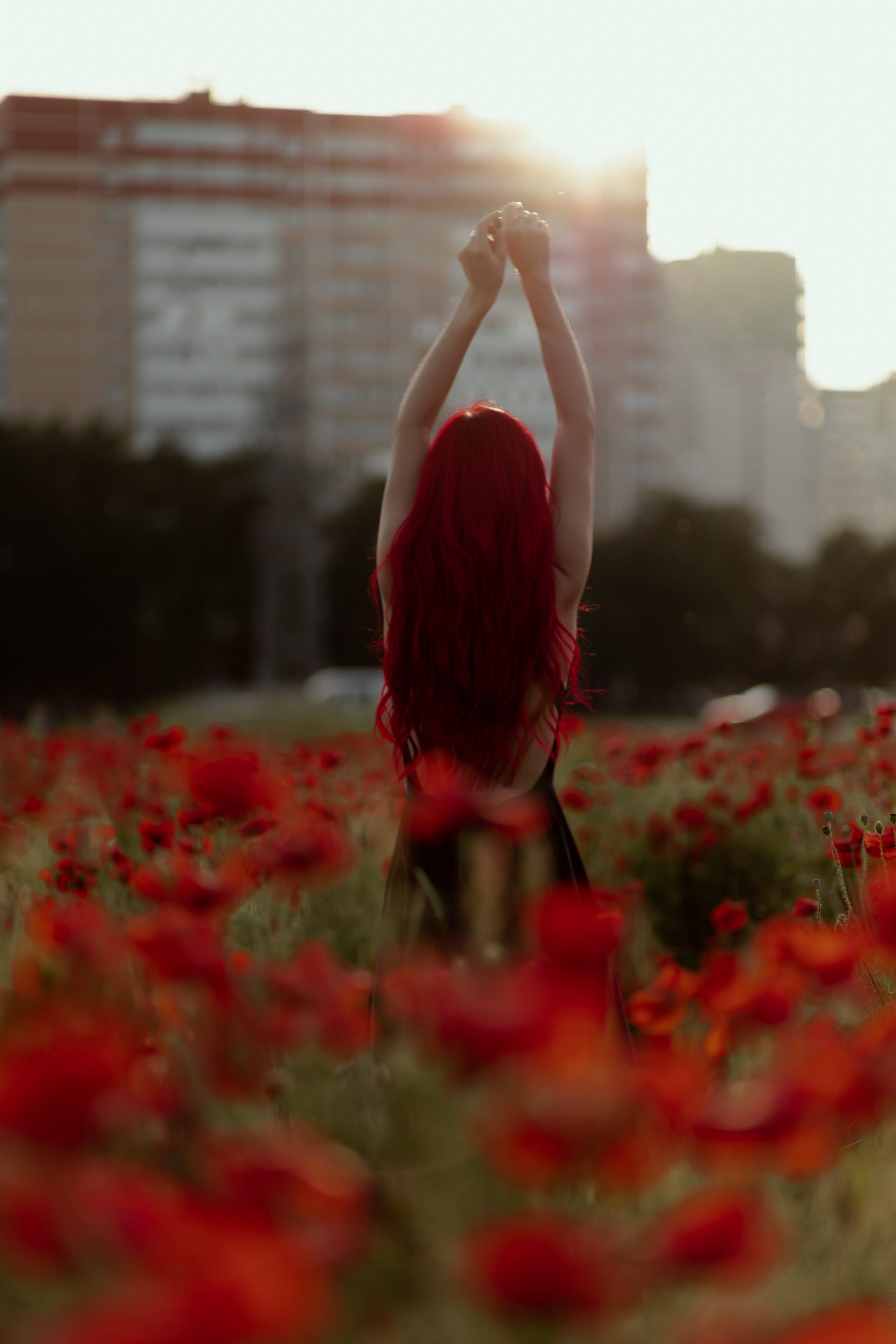 Маки. Фотограф в Краснодаре и Краснодарском Крае