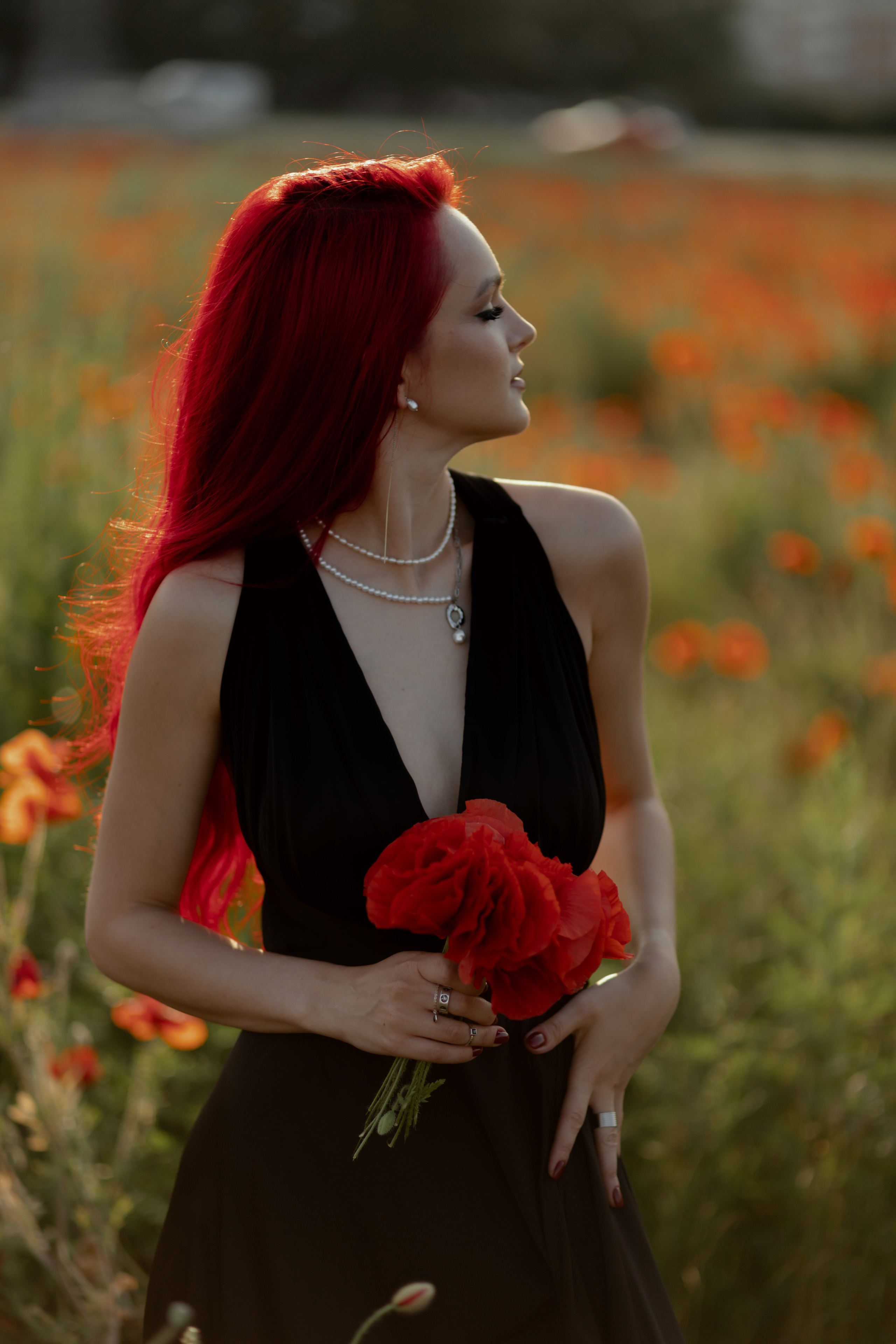 Маки. Фотограф в Краснодаре и Краснодарском Крае