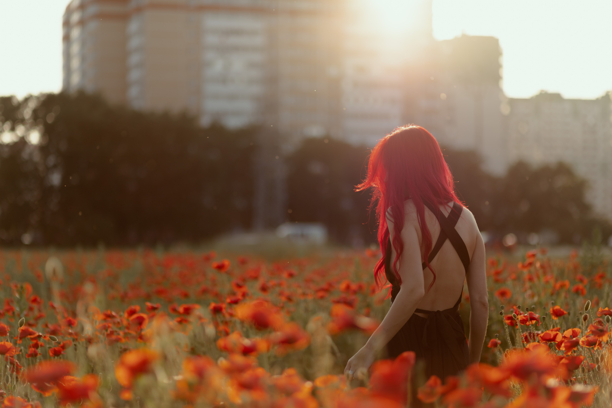 Маки. Фотограф в Краснодаре и Краснодарском Крае