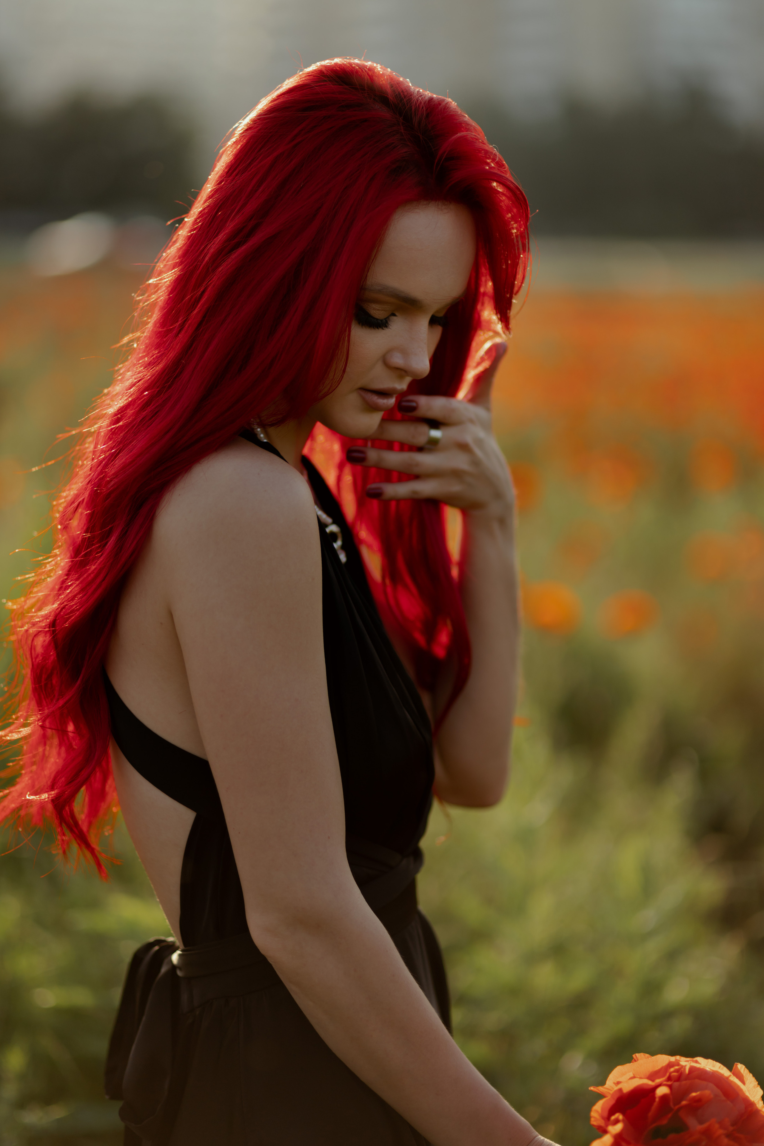 Маки. Фотограф в Краснодаре и Краснодарском Крае