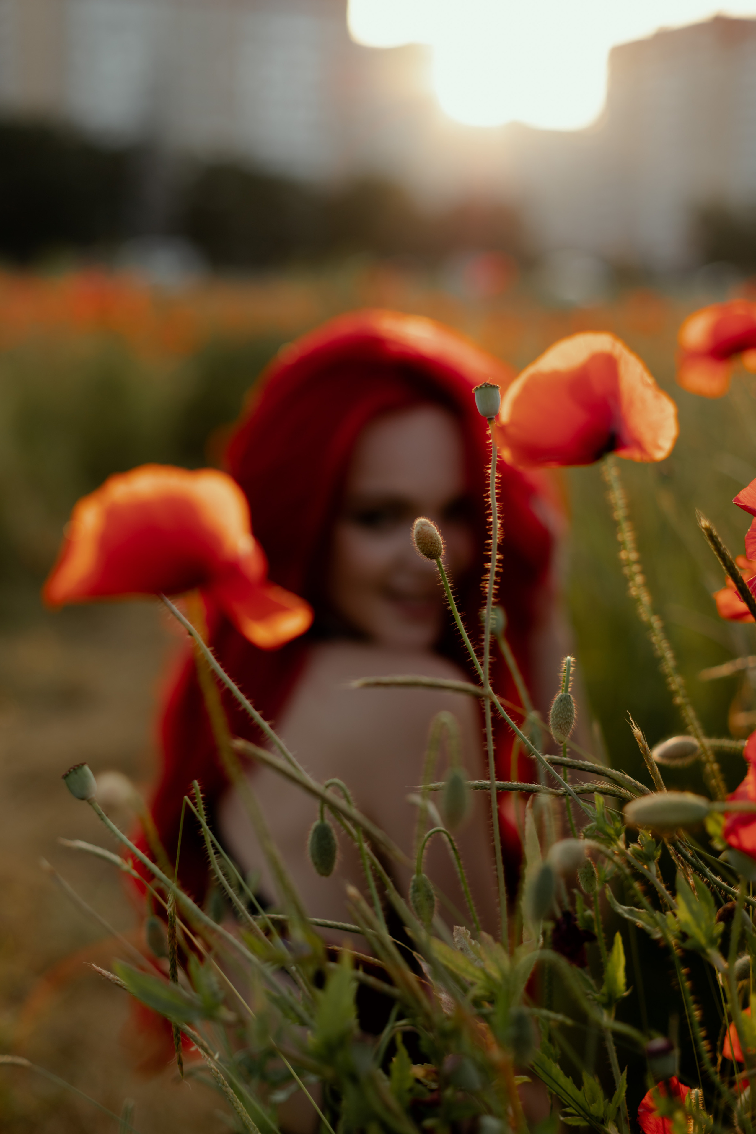 Маки. Фотограф в Краснодаре и Краснодарском Крае