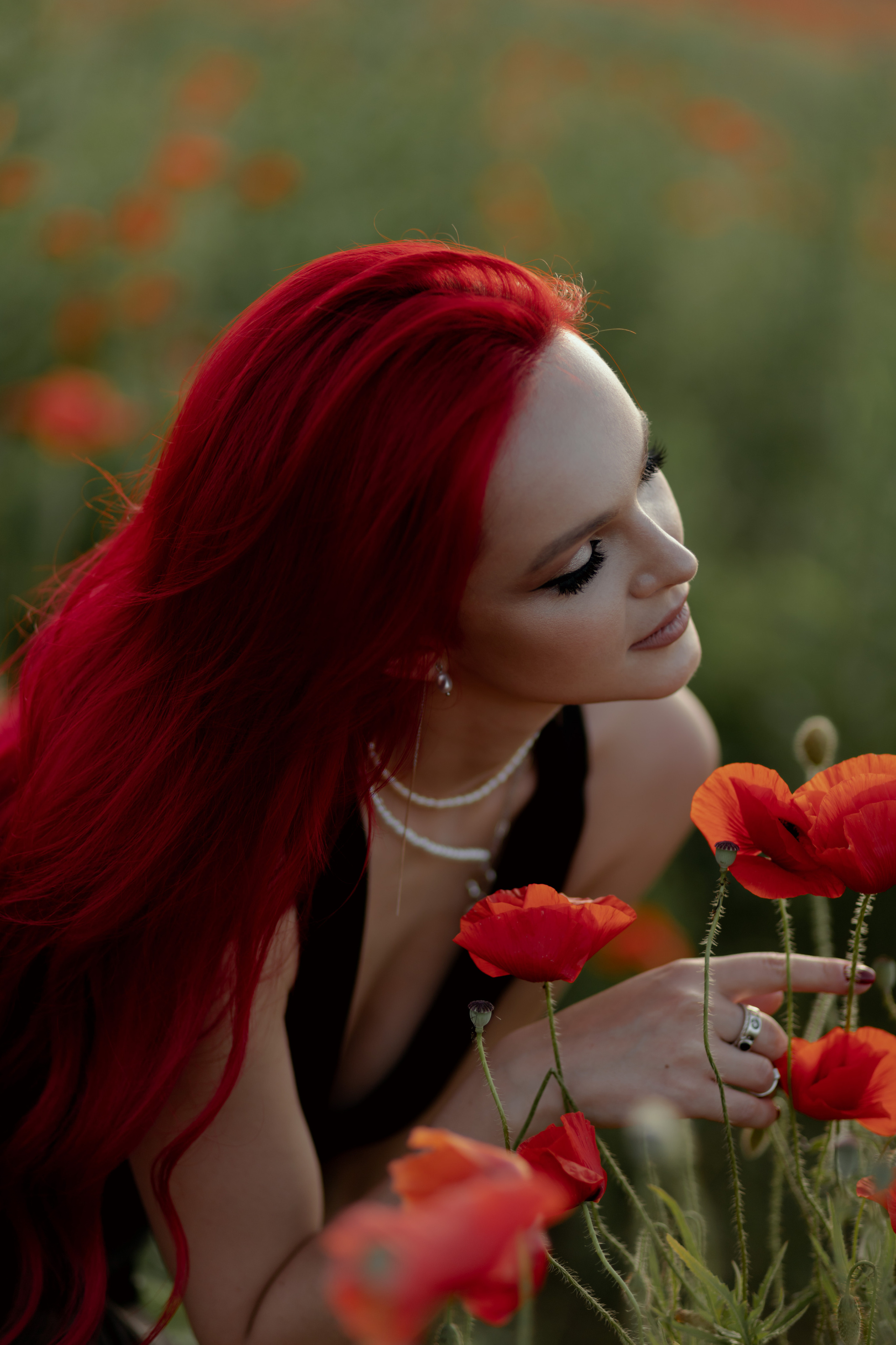 Маки. Фотограф в Краснодаре и Краснодарском Крае