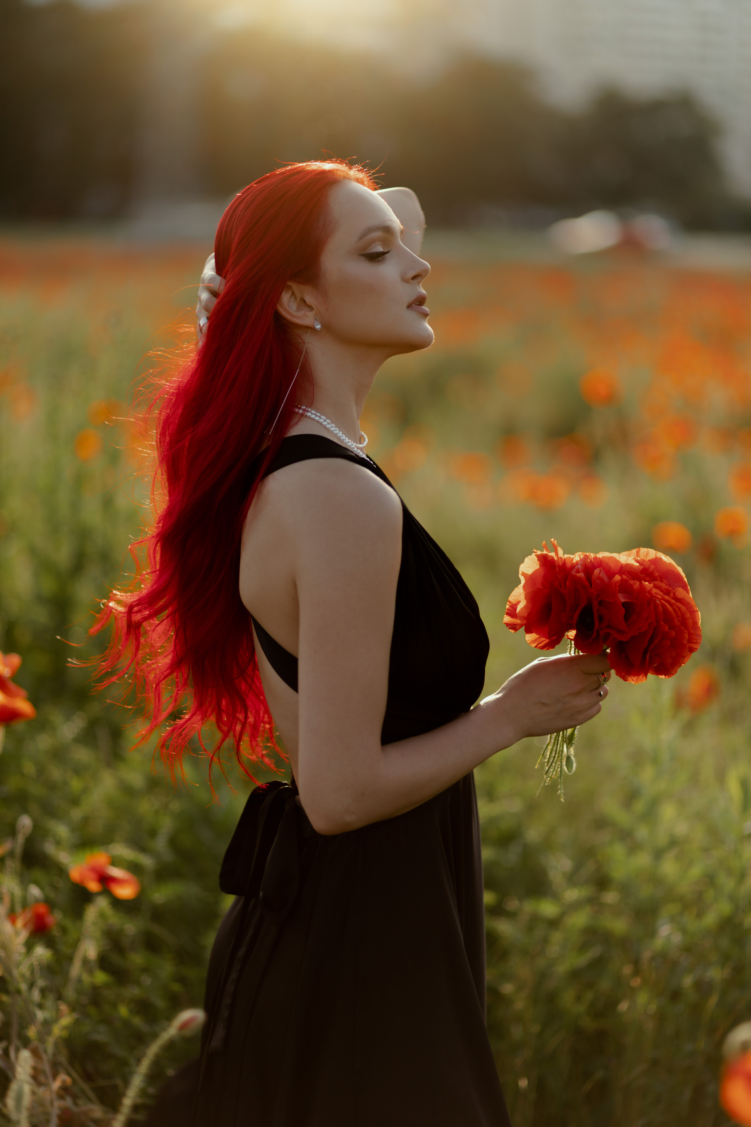 Маки. Фотограф в Краснодаре и Краснодарском Крае