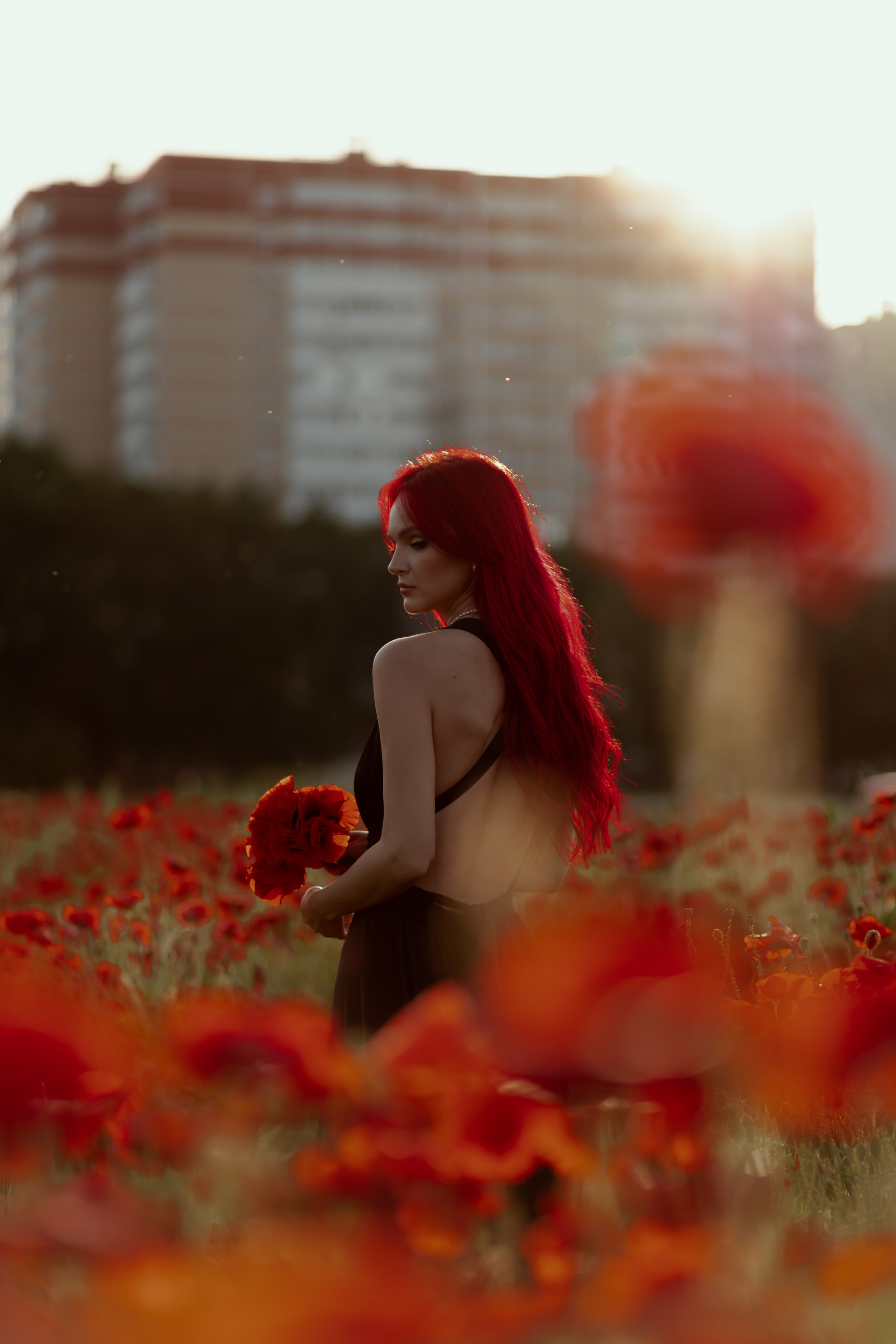 Маки. Фотограф в Краснодаре и Краснодарском Крае