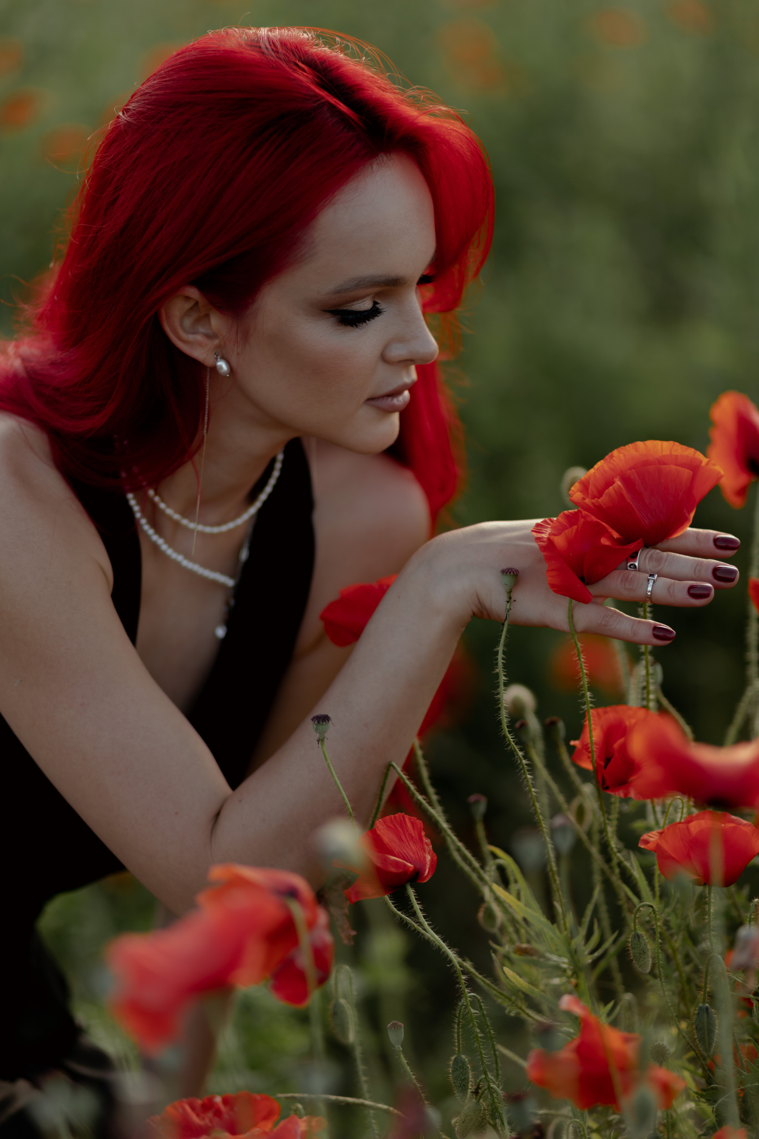 Маки. Фотограф в Краснодаре и Краснодарском Крае