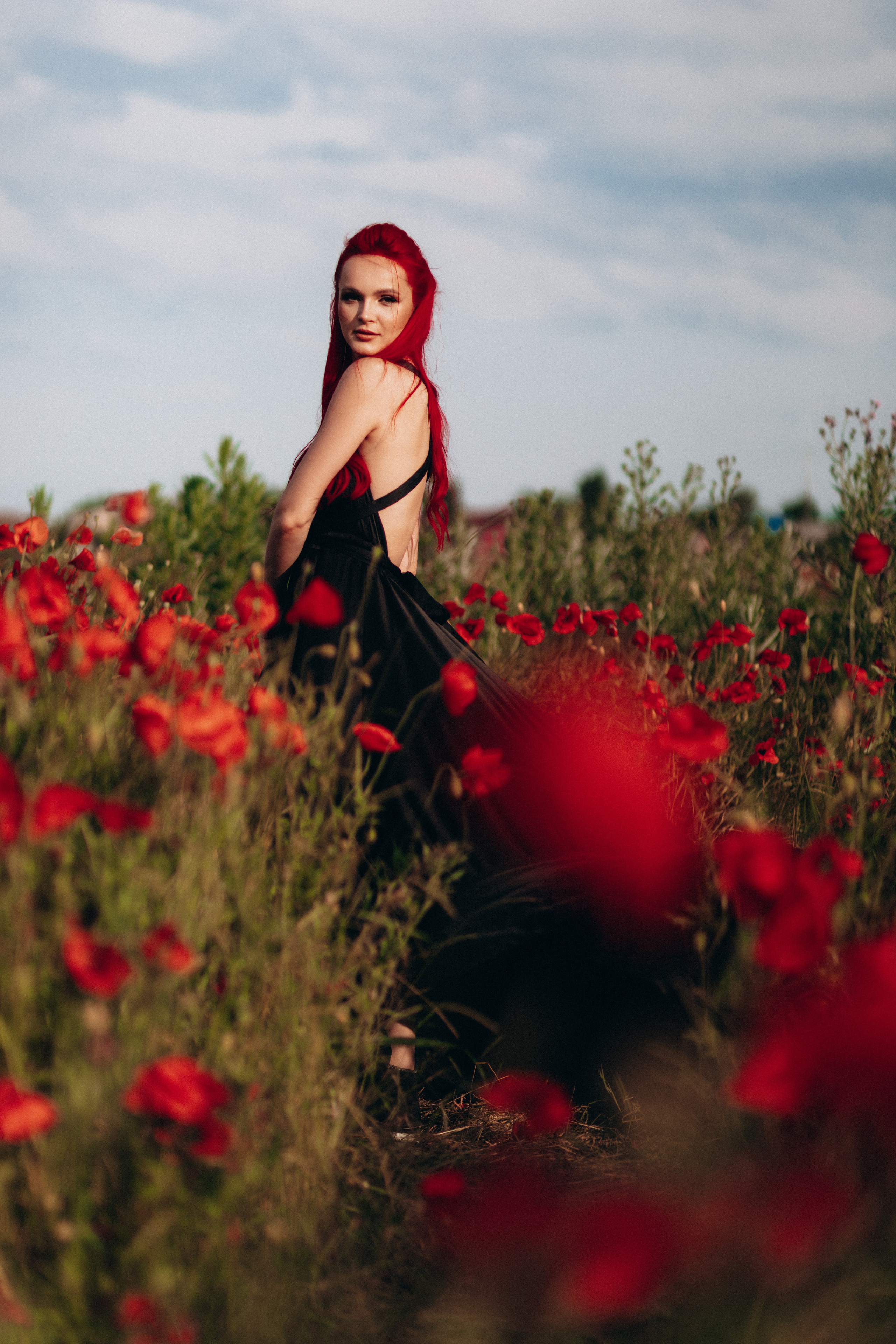 Маки. Фотограф в Краснодаре и Краснодарском Крае