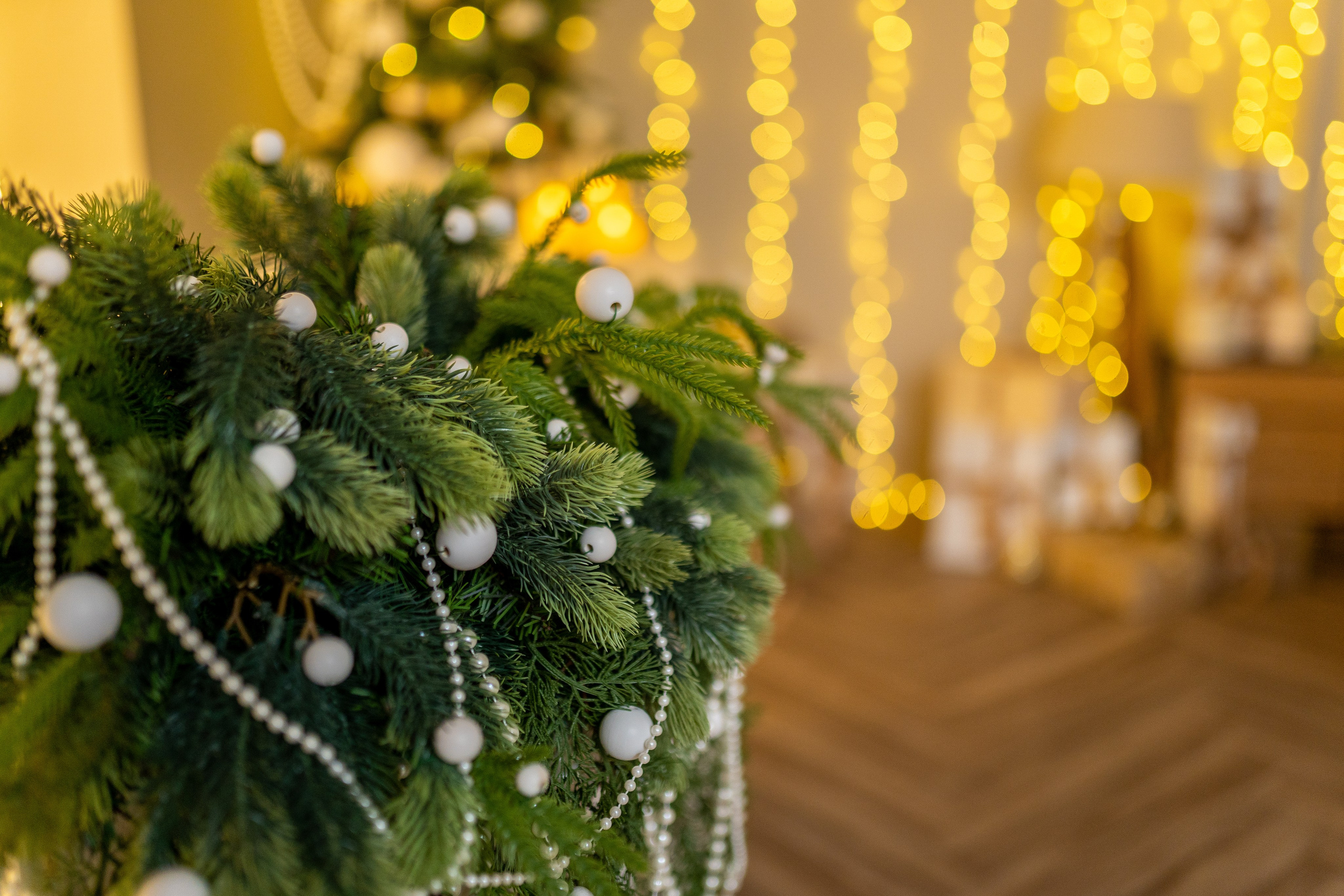 Белый. Фотограф г. Хабаровск. Семейные и индивидуальные съёмки