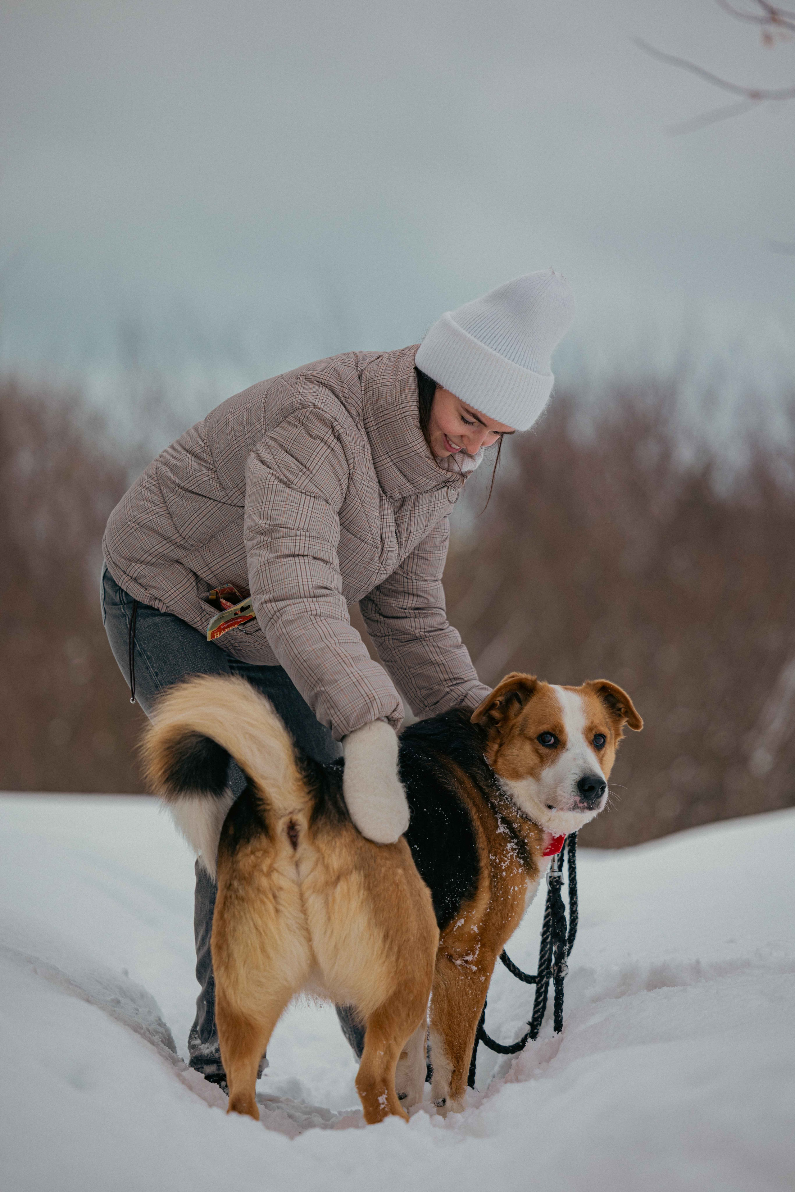 Петя. Фотограф-анималист в Москве Лера Черноног