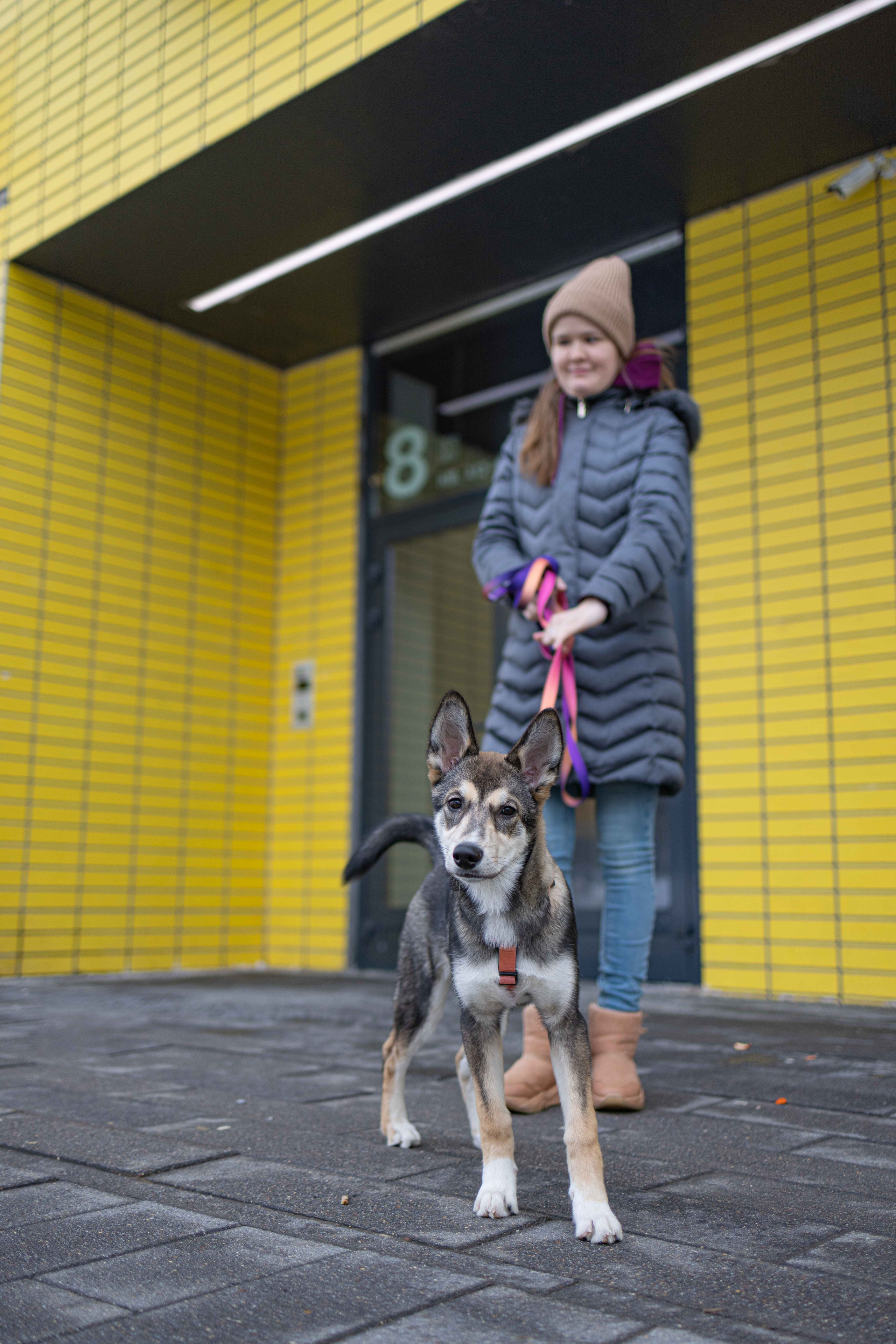 Шами. Фотограф-анималист в Москве Лера Черноног