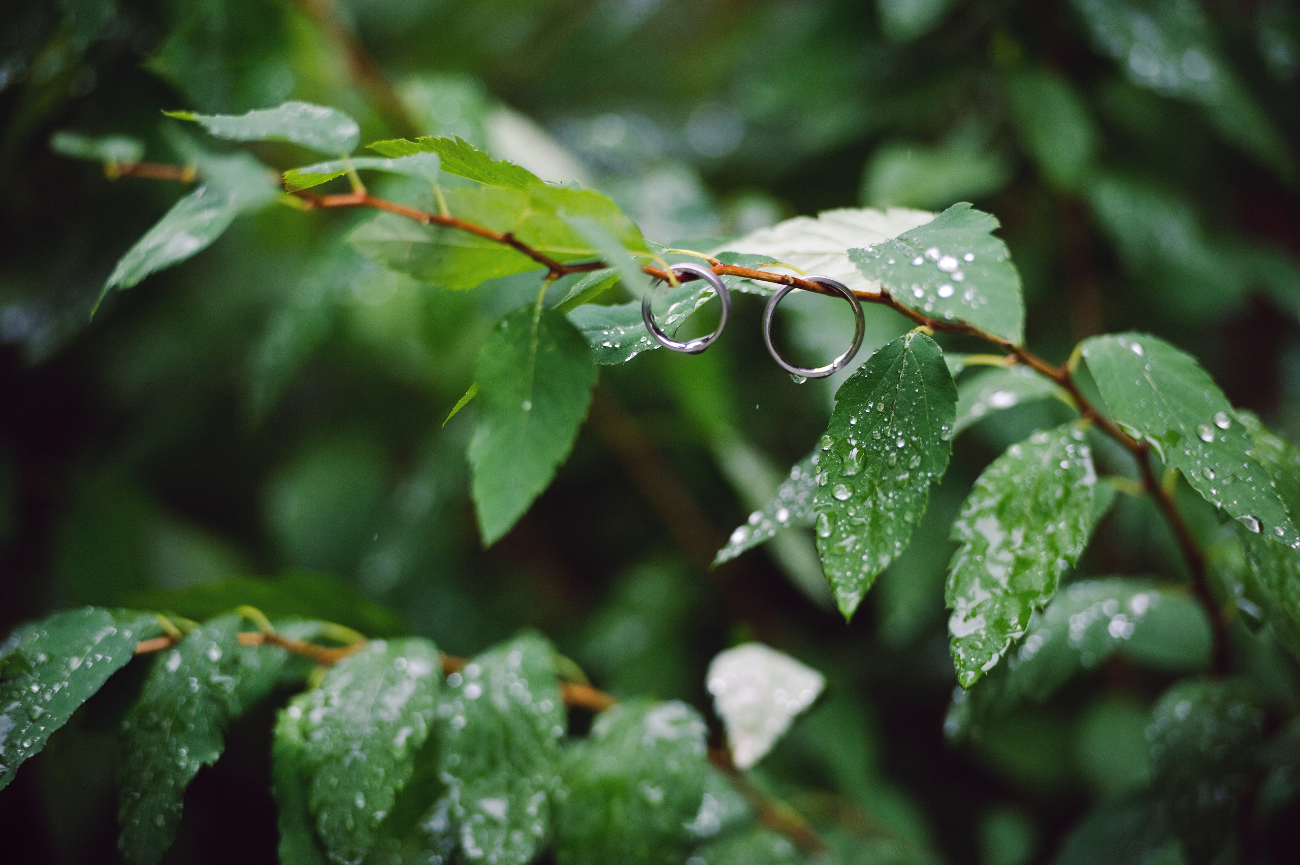 София и Евгений. Свадьба, Гжель. Семейный фотограф Анна Дубовская