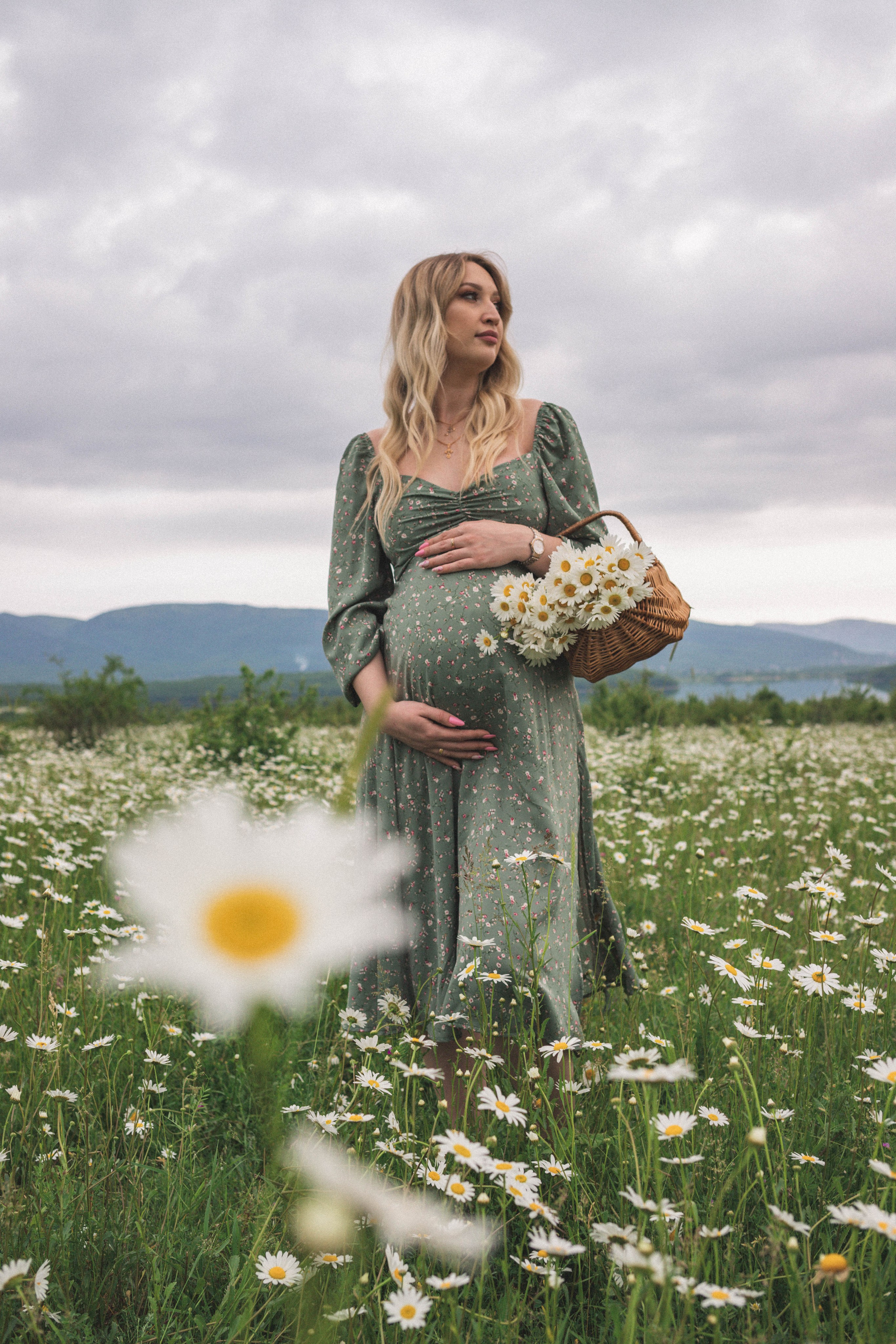 РОМАШКИ. Фотограф Немазенко Ольга