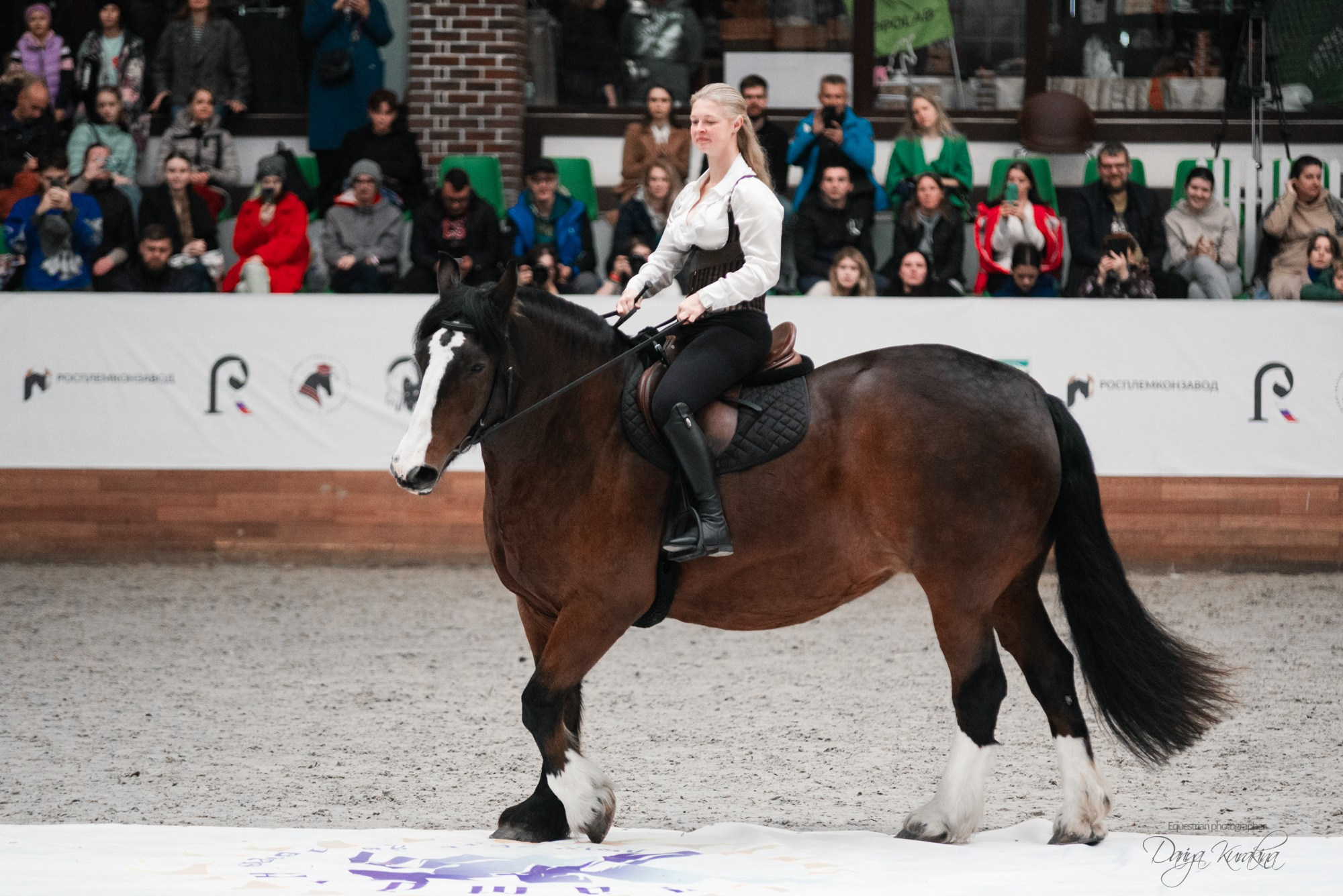 8-я международная выставка Конная Россия. Конный фотограф Куракина Дарья • Фотосессии с лошадьми