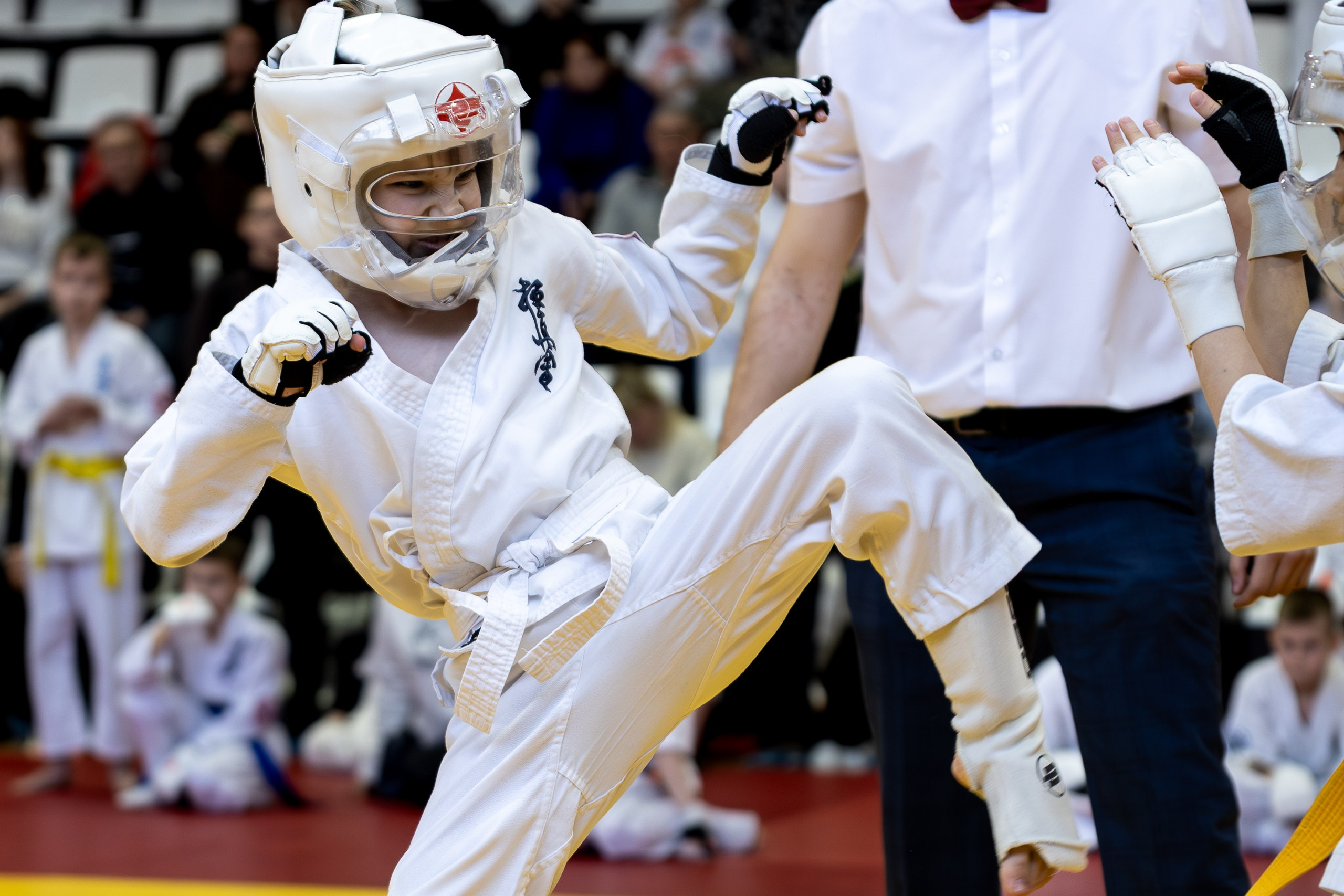 Карате кумите. Главная