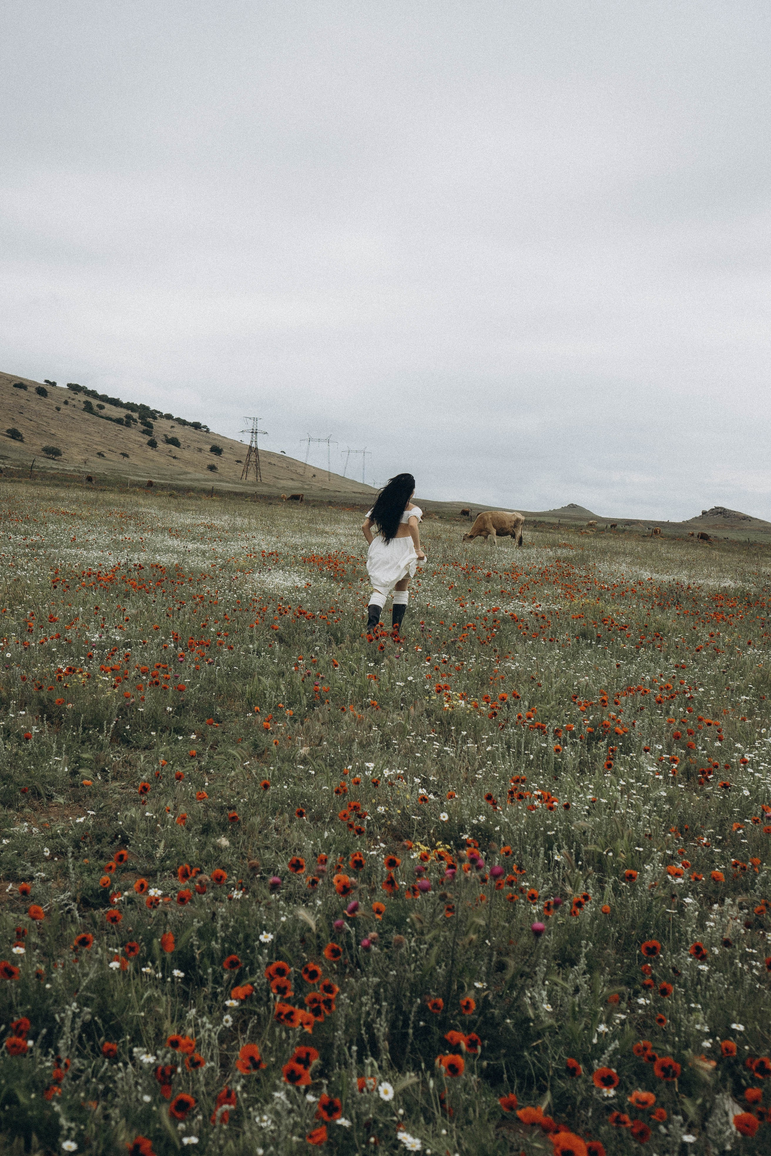 Маковое поле. Профессиональный фотограф, Санкт-Петербург — Виктория Богомолова
