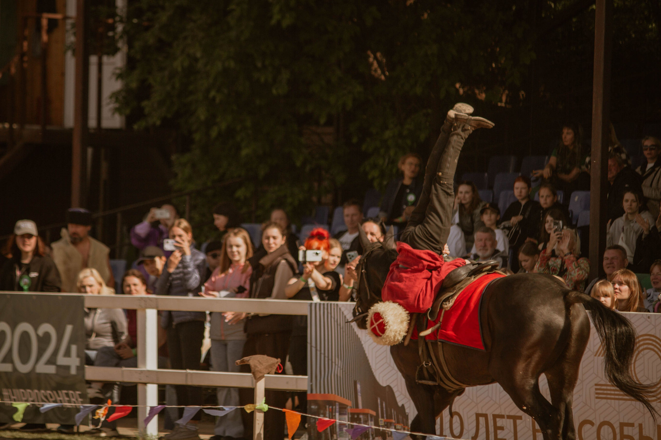ИППОСФЕРА — Международная конная выставка. Создадим шедевр? Виталина и её фотоискусство
