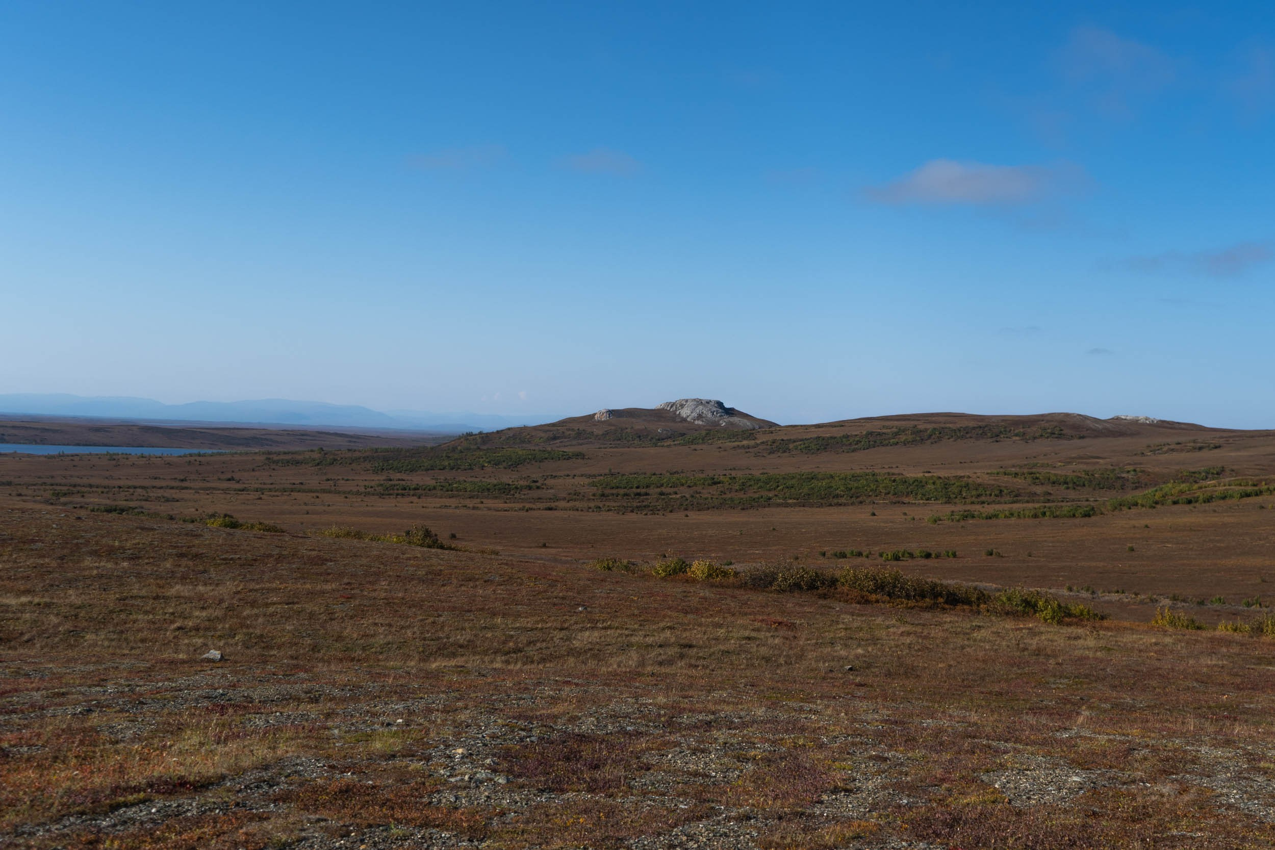 Рифы девонского моря. Фотограф Екатерина Зорина