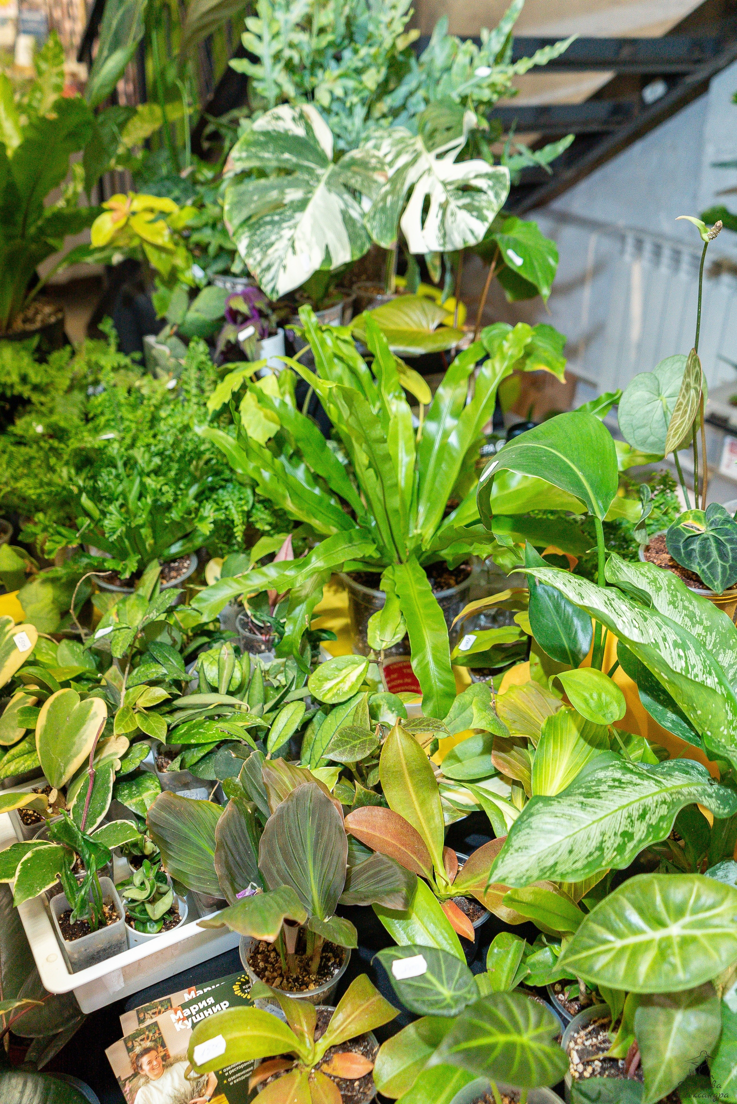 Гроубокс Артплей апрель. Александра Куликова фотограф, Москва