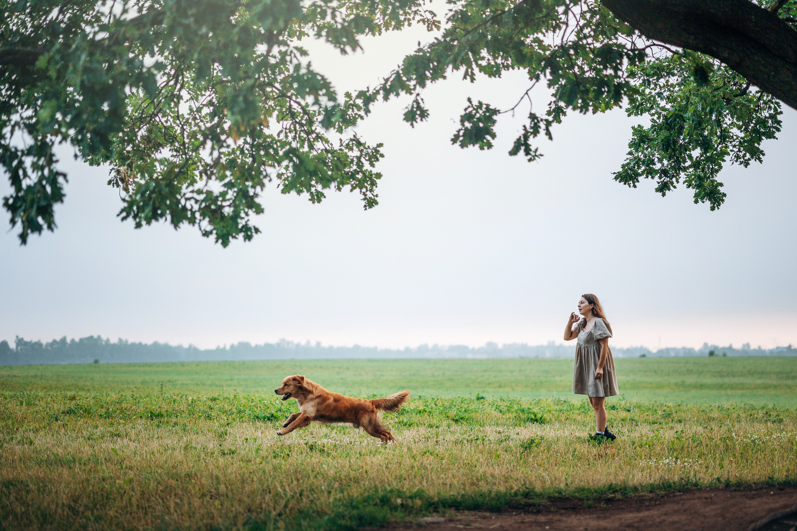 Аня и Ноллан. Фотограф — Анималист | Санкт-Петербург