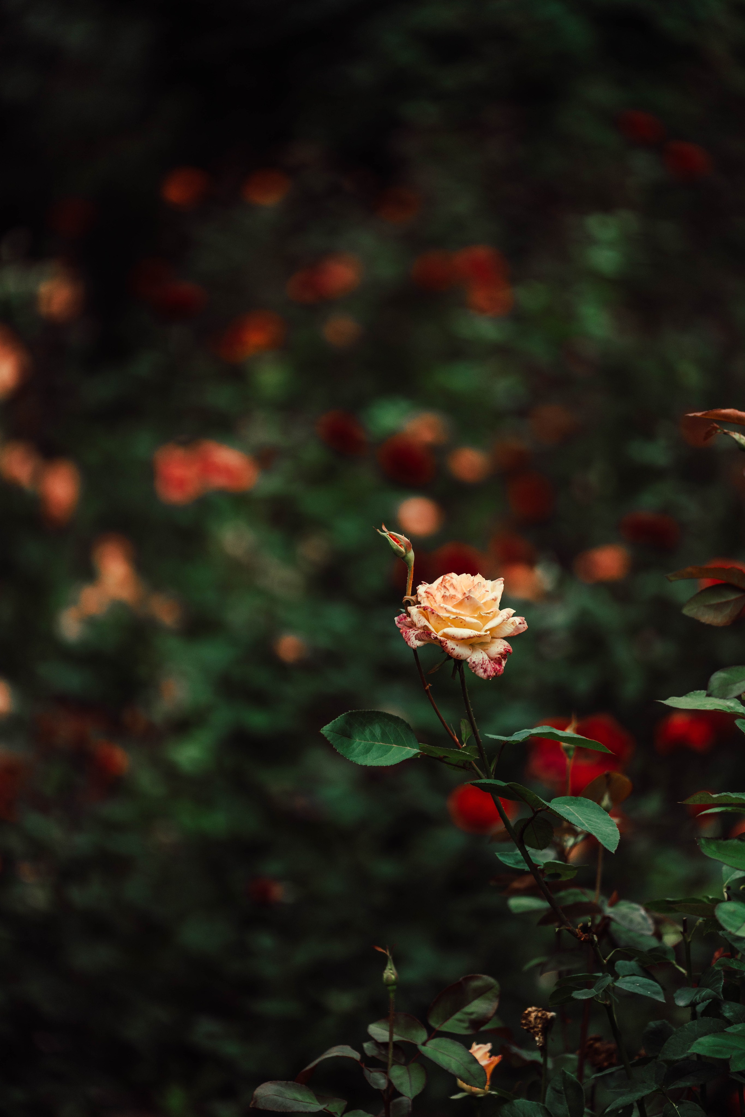 Усть-Каменогорск, Сентябрь 2024