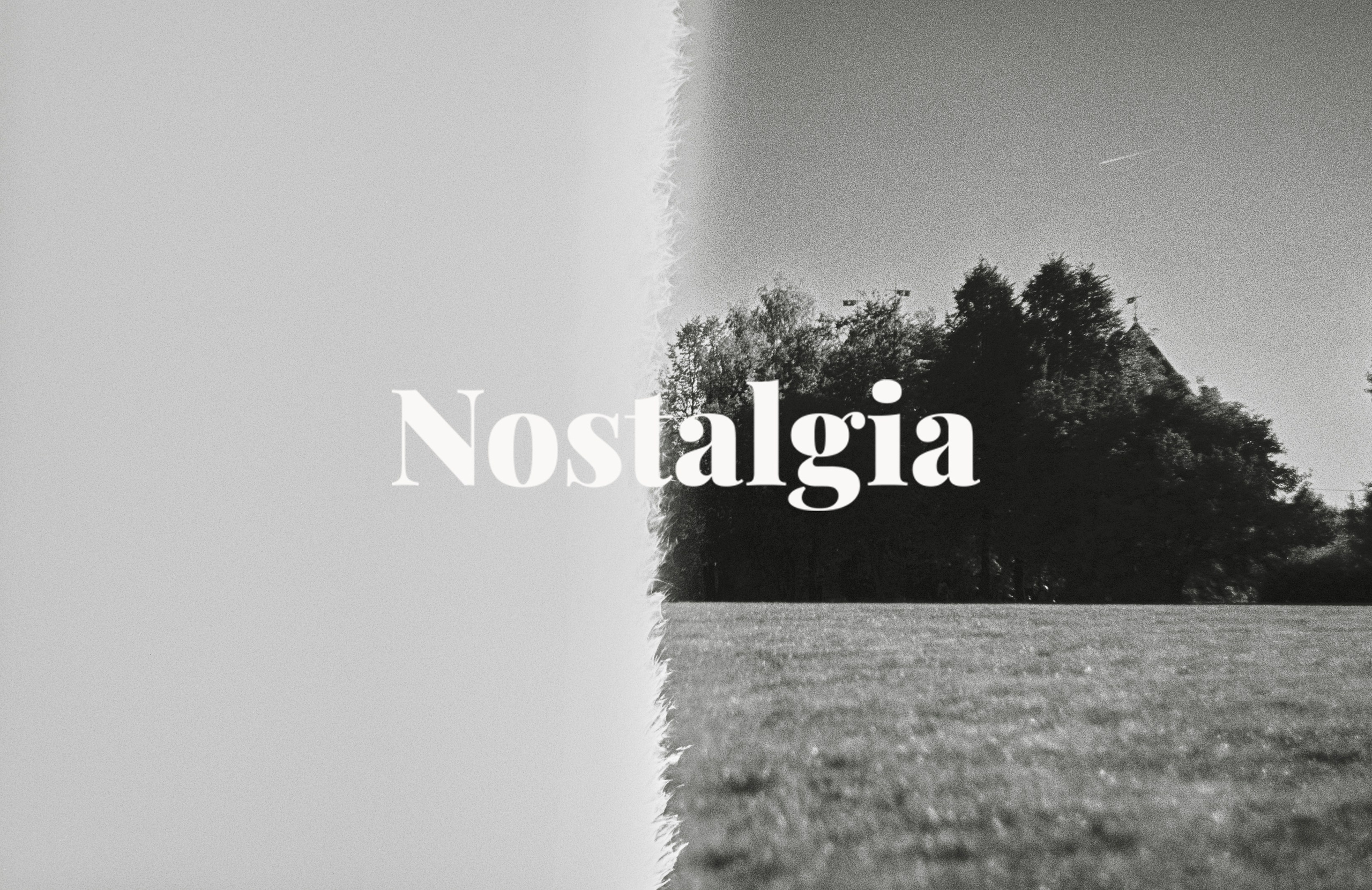 ㅤ. ㅤ