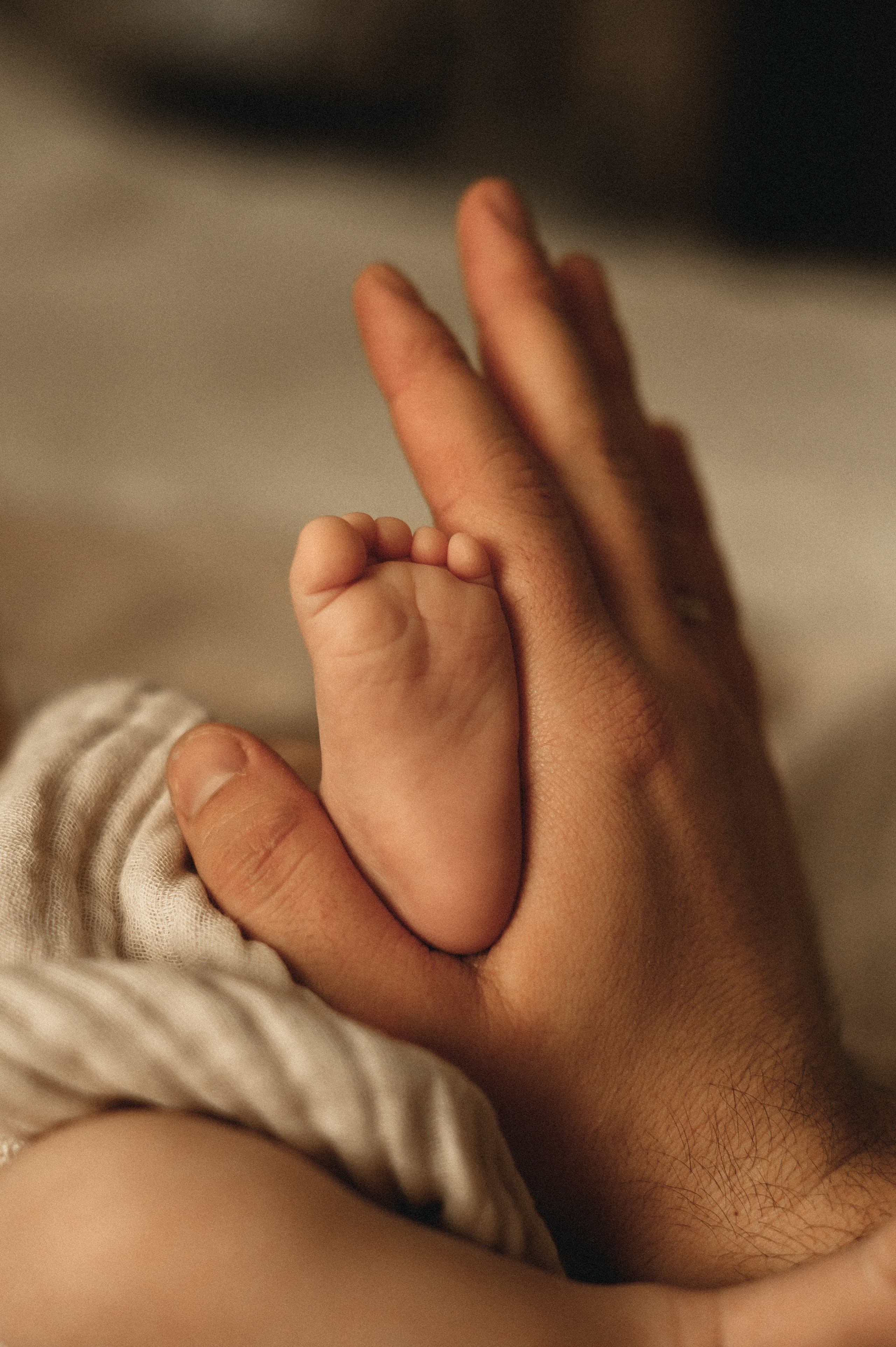 Первый месяц. Мама, папа и малыш. Семейный фотограф в г. Ставрополь, Сорокина Мария