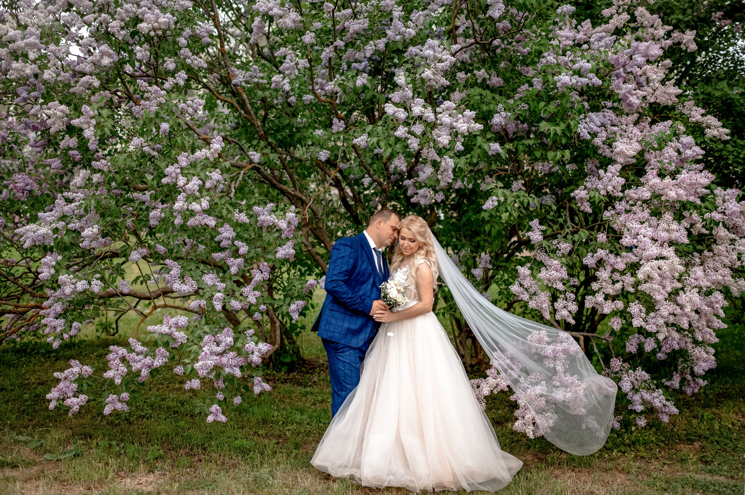 TOP-500 Самые красивые и лучшие свадебные фотографии от профессионального свадебного фотографа в Санкт-Петербурге Ширяева Дениса. Портретный, семейный и свадебный фотограф в Санкт-Петербурге и в Пушкине Ширяев Денис