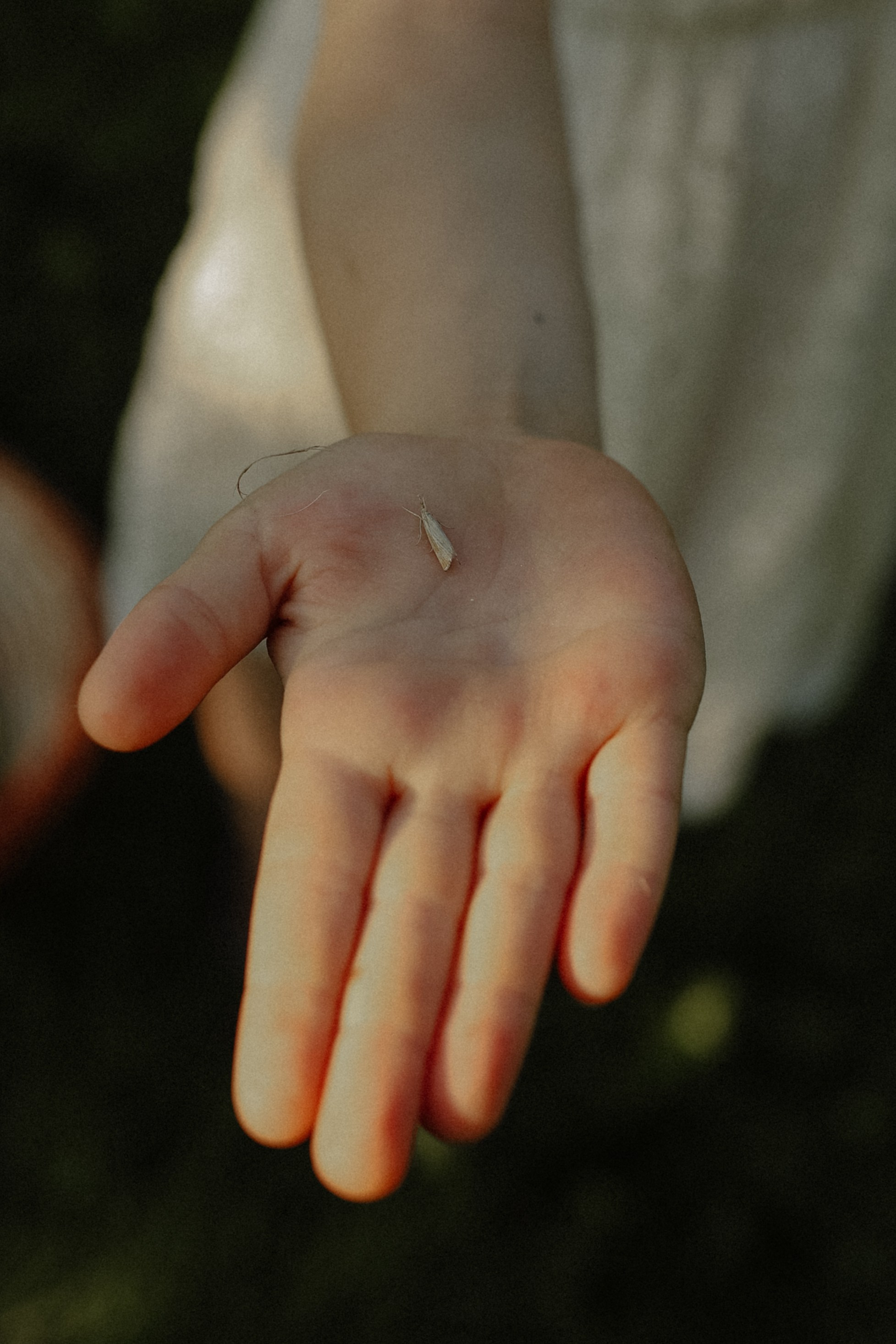 Большая семья. Детский и семейный фотограф, съемка новорожденных Москва