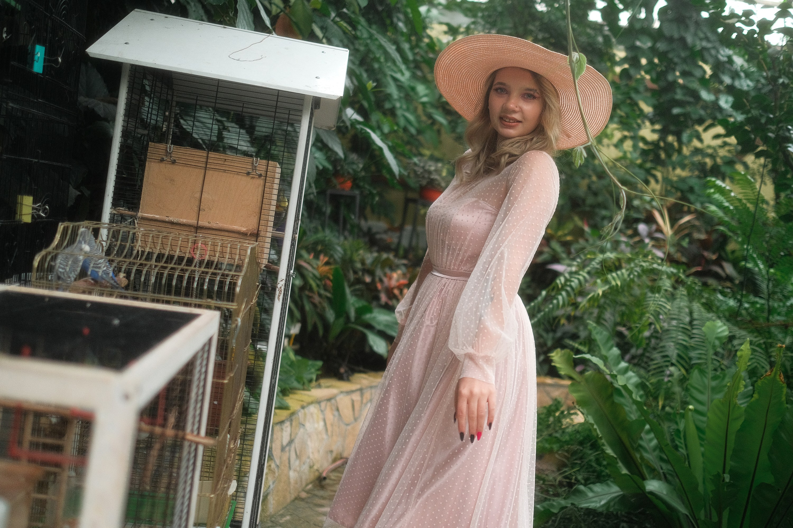 Greenhouse. Aleksandr Schafft