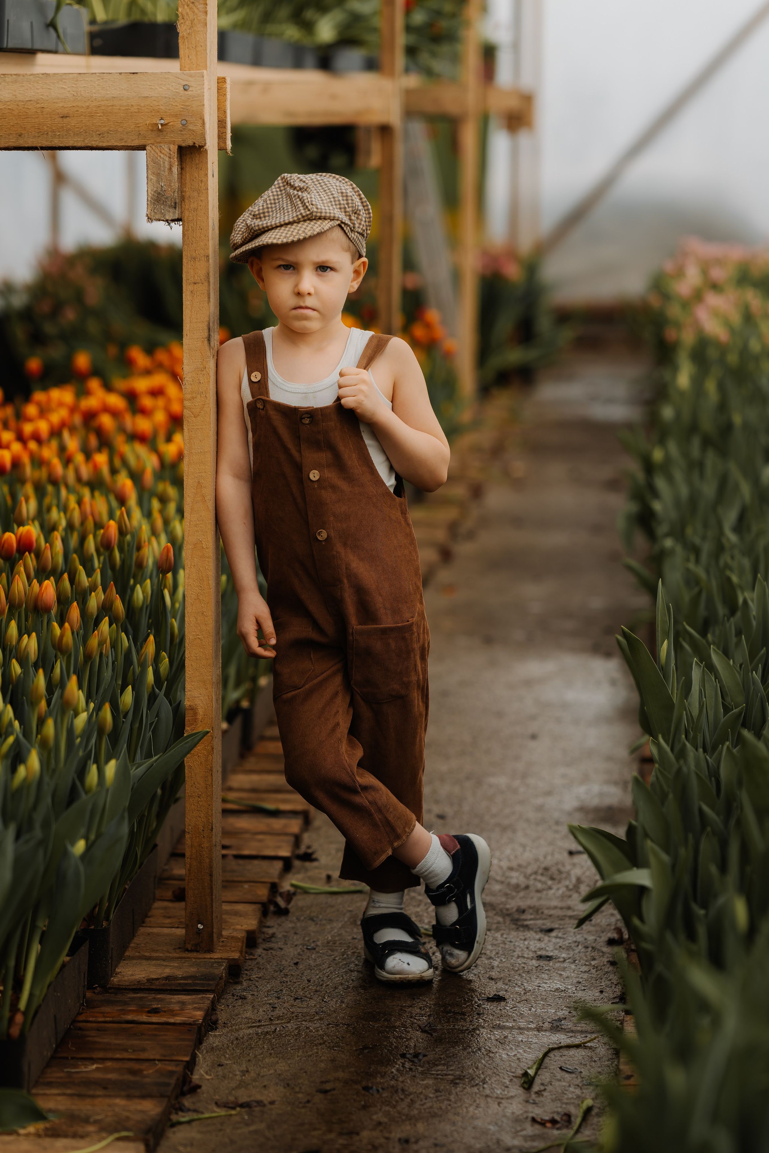 Мальчишки в тюльпанах. СВАДЕБНЫЙ ФОТОГРАФ КРАСНОЯРСК