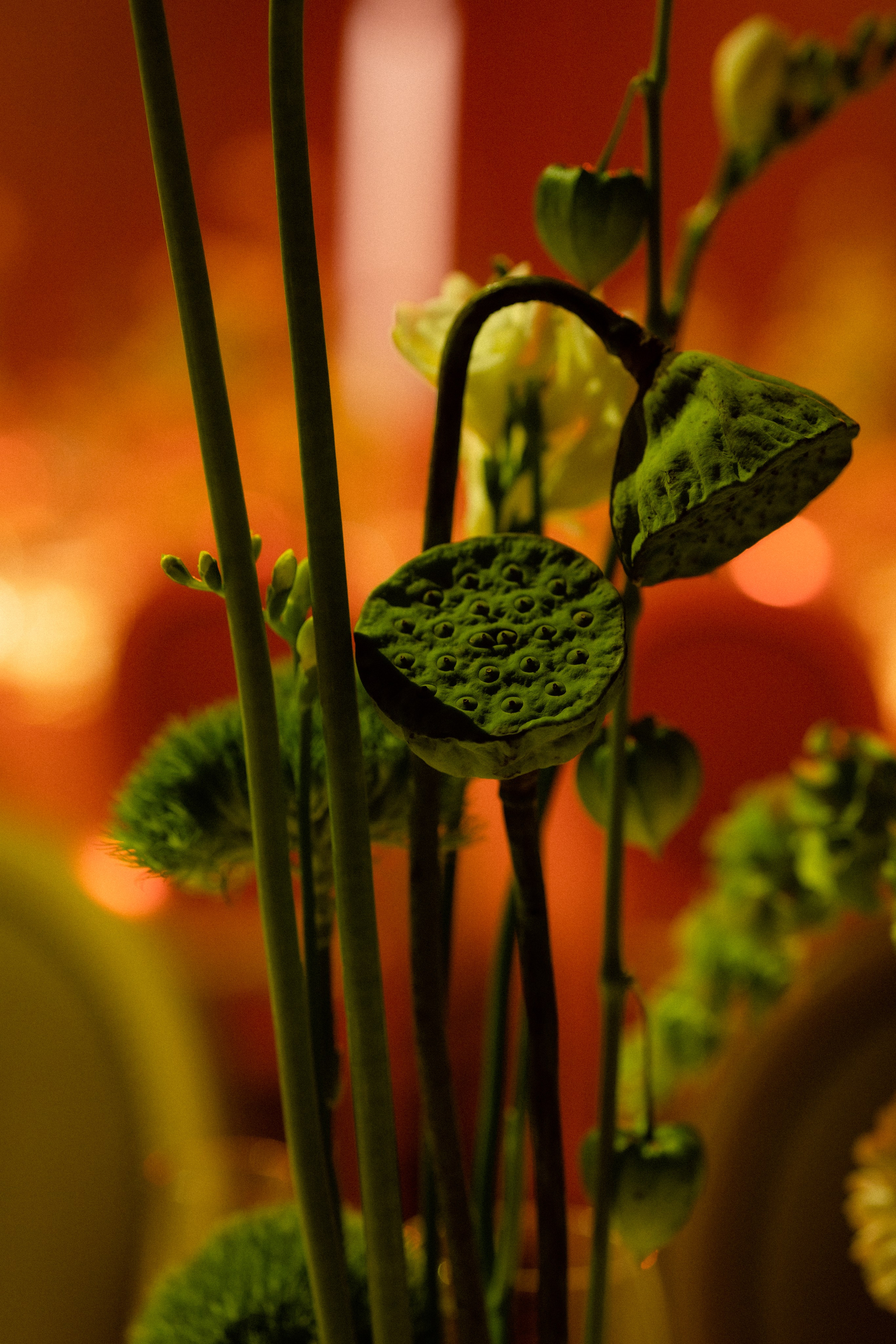 Александр и Иннеса. Ксения Почтарь. Декоратор и флорист, город Владивосток