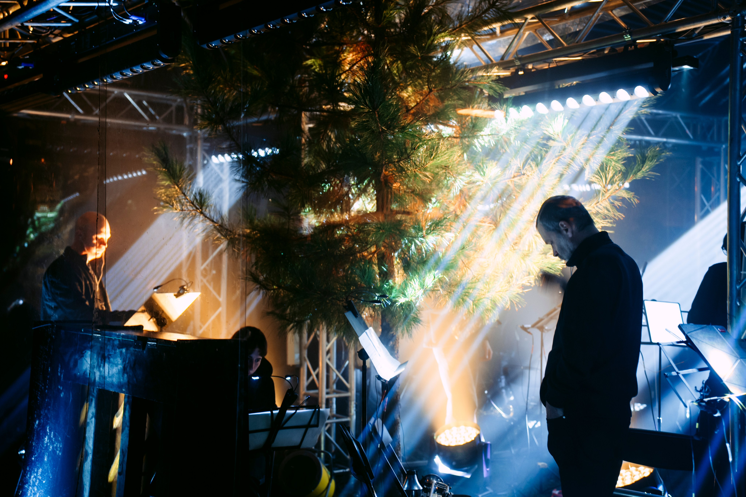 Synesthesia|Черное озеро. Главная