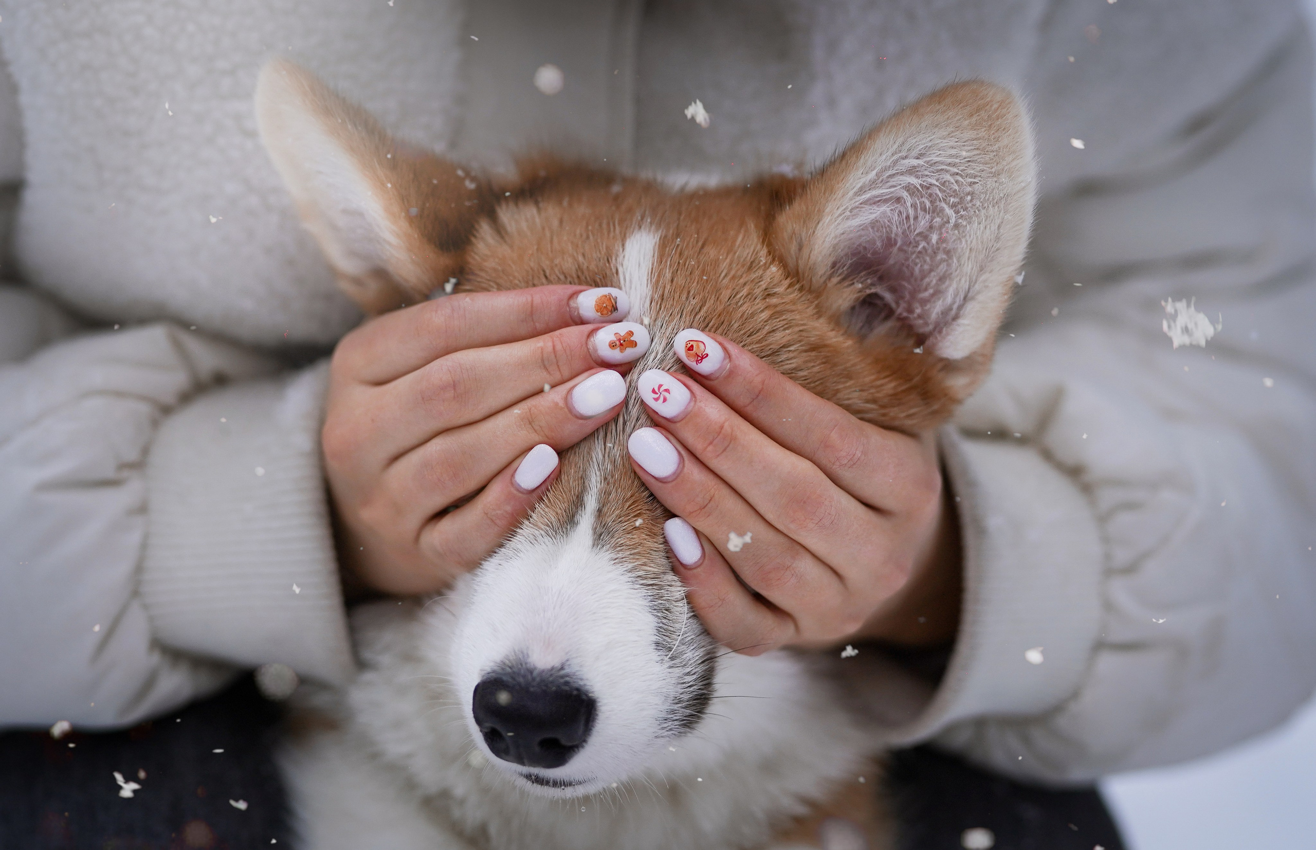 Катя Рокки и Честер. Фотограф-анималист в Санкт-Петербурге Яна Мартынова