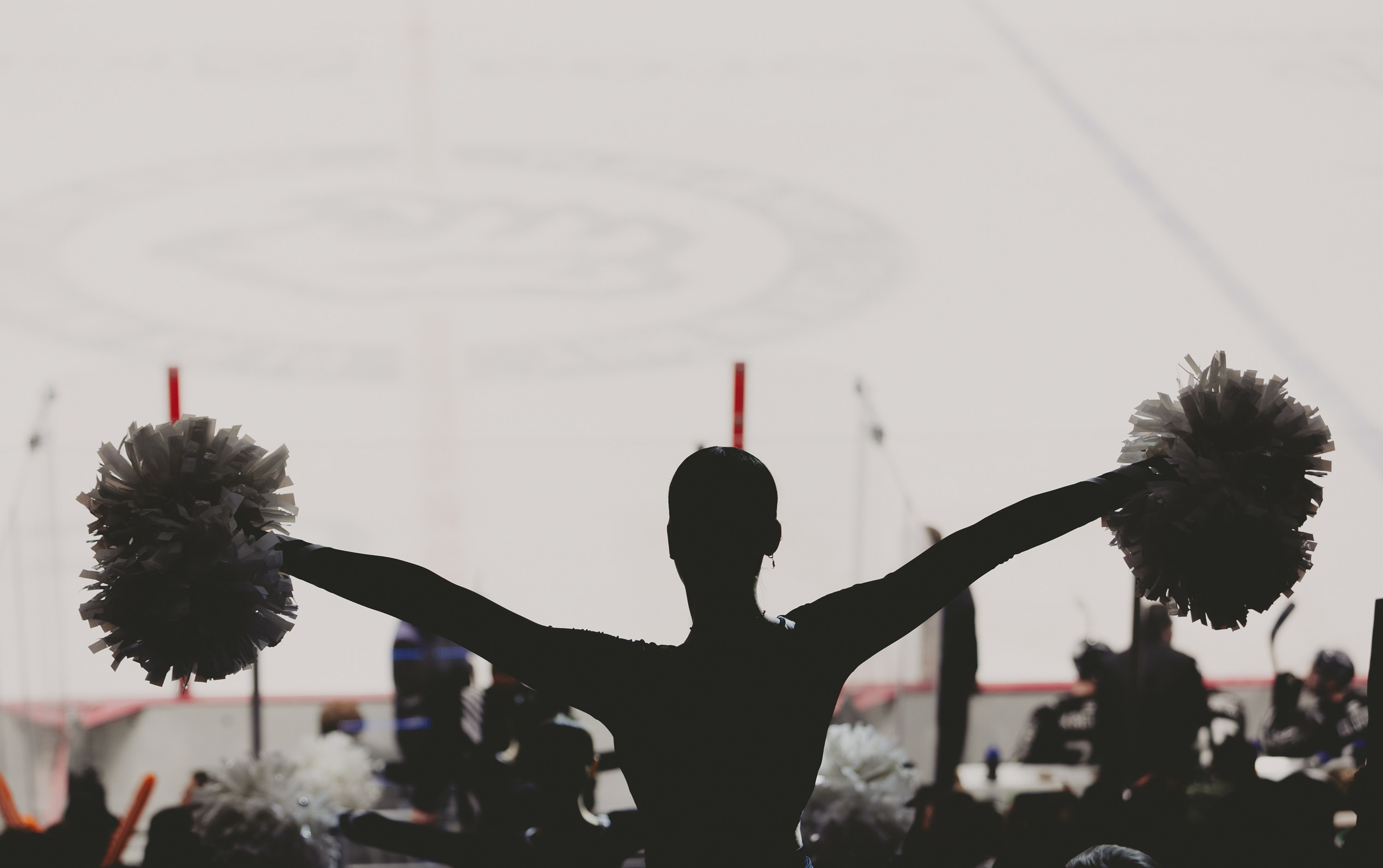 Матч Трактор — Динамо (М). Татьяна Журавлева