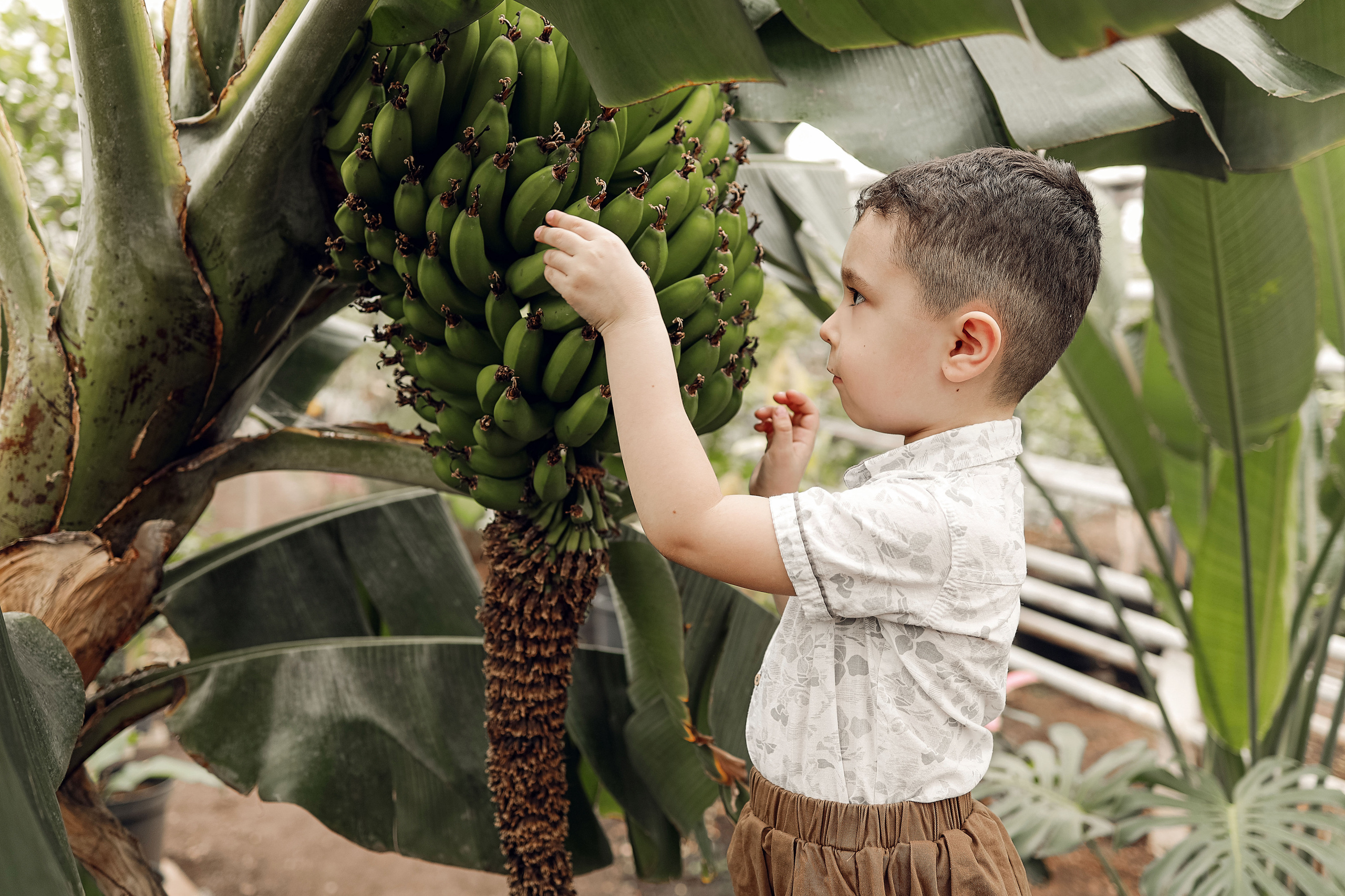 Семейная съемка в Лимонарии. Иванова Ирина Свадебный и семейный фотограф г. Уфа