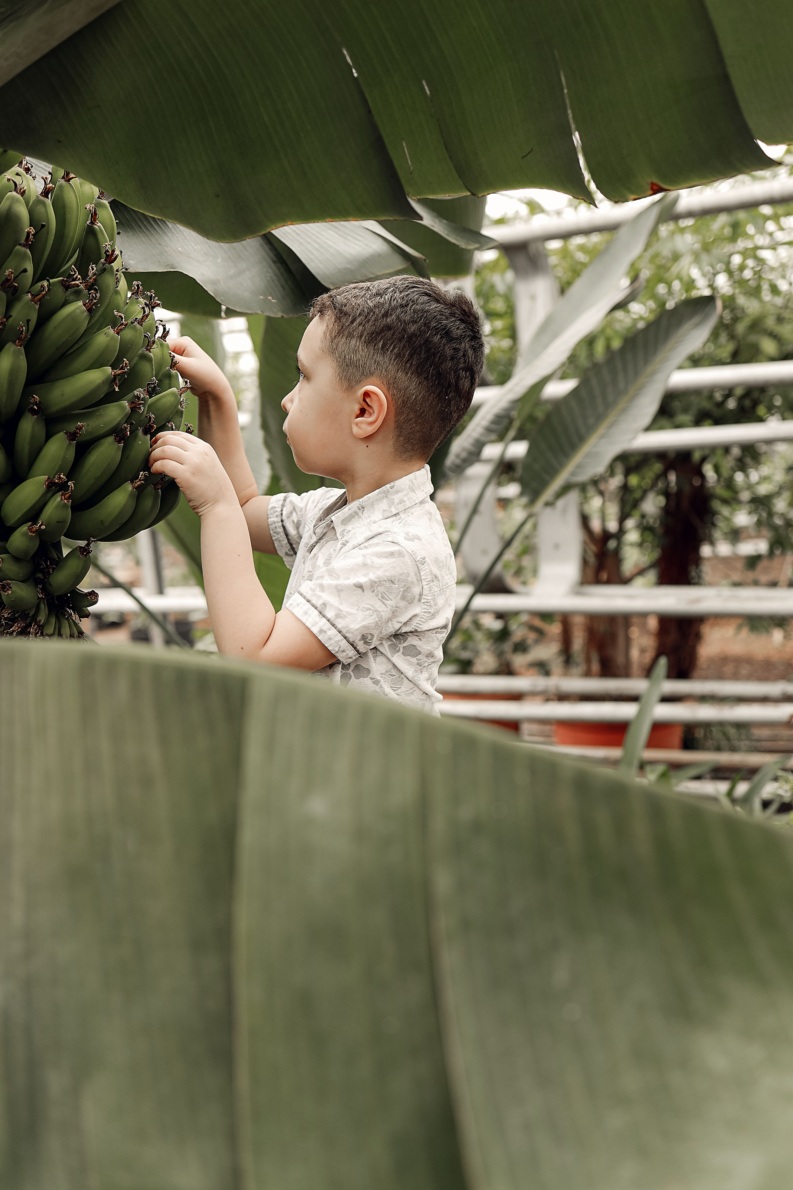 Семейная съемка в Лимонарии. Иванова Ирина Свадебный и семейный фотограф г. Уфа