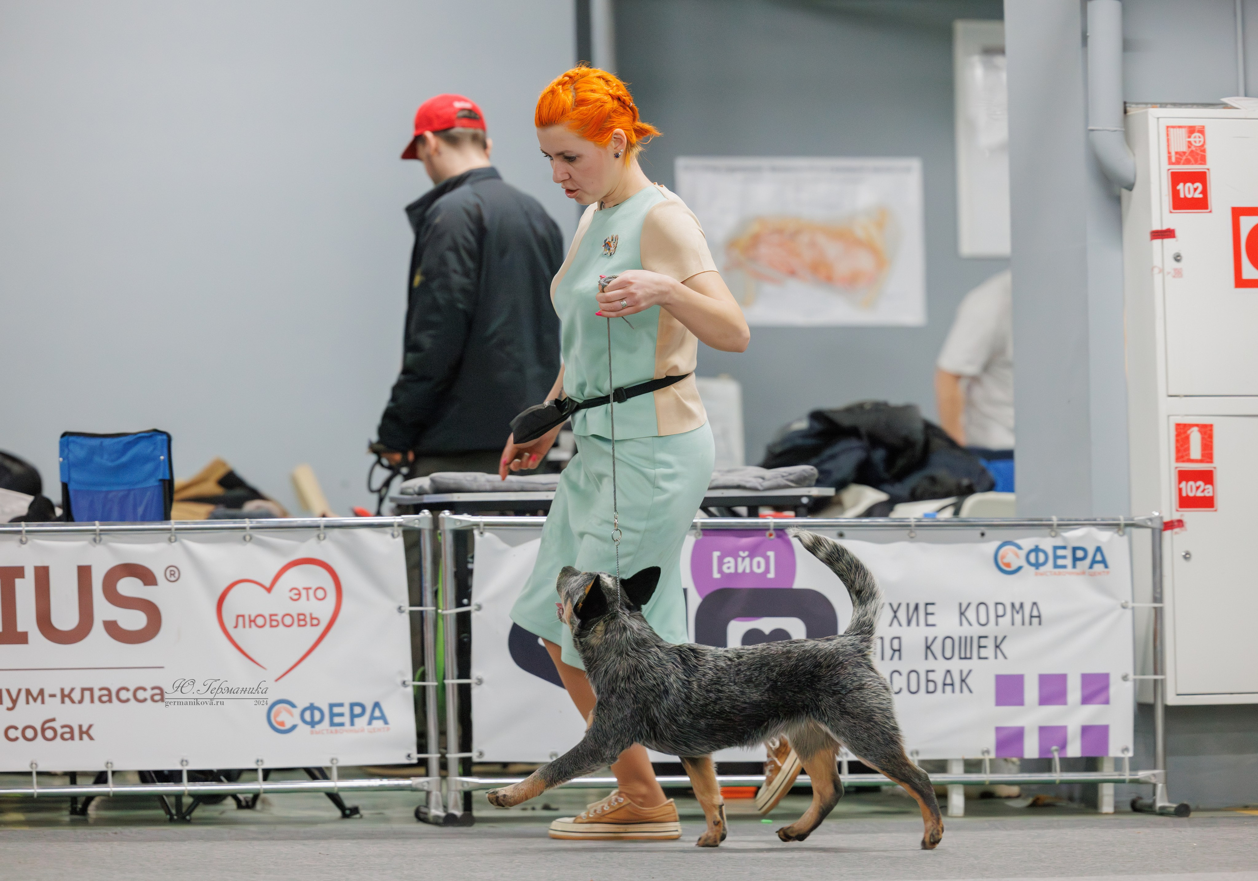 Сфера и Крокус 8,9,16 и 30.03.2025. Фотограф-анималист Юлия Германика