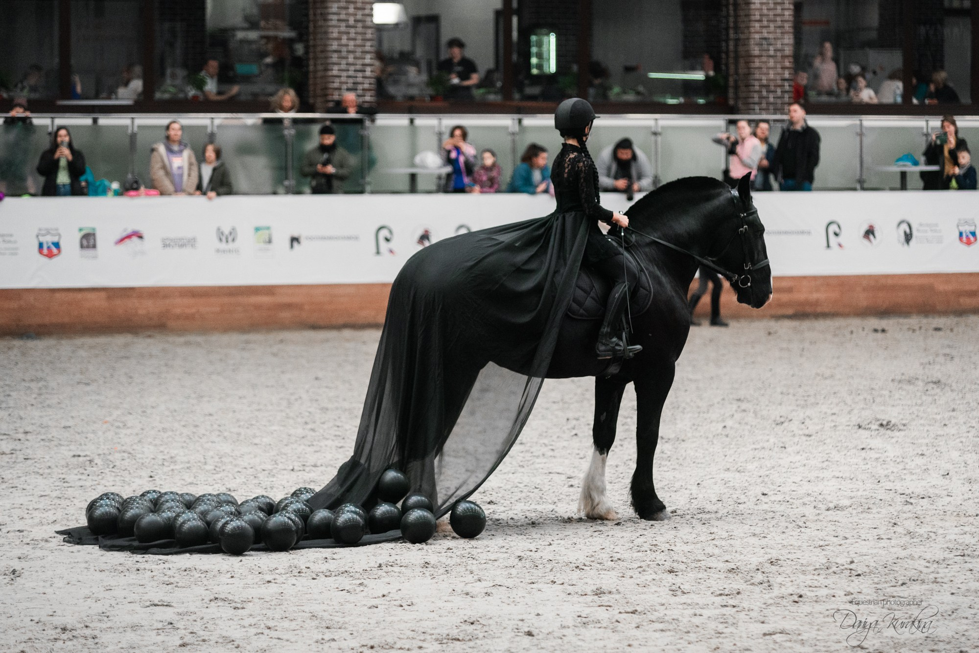 8-я международная выставка Конная Россия. Конный фотограф Куракина Дарья • Фотосессии с лошадьми