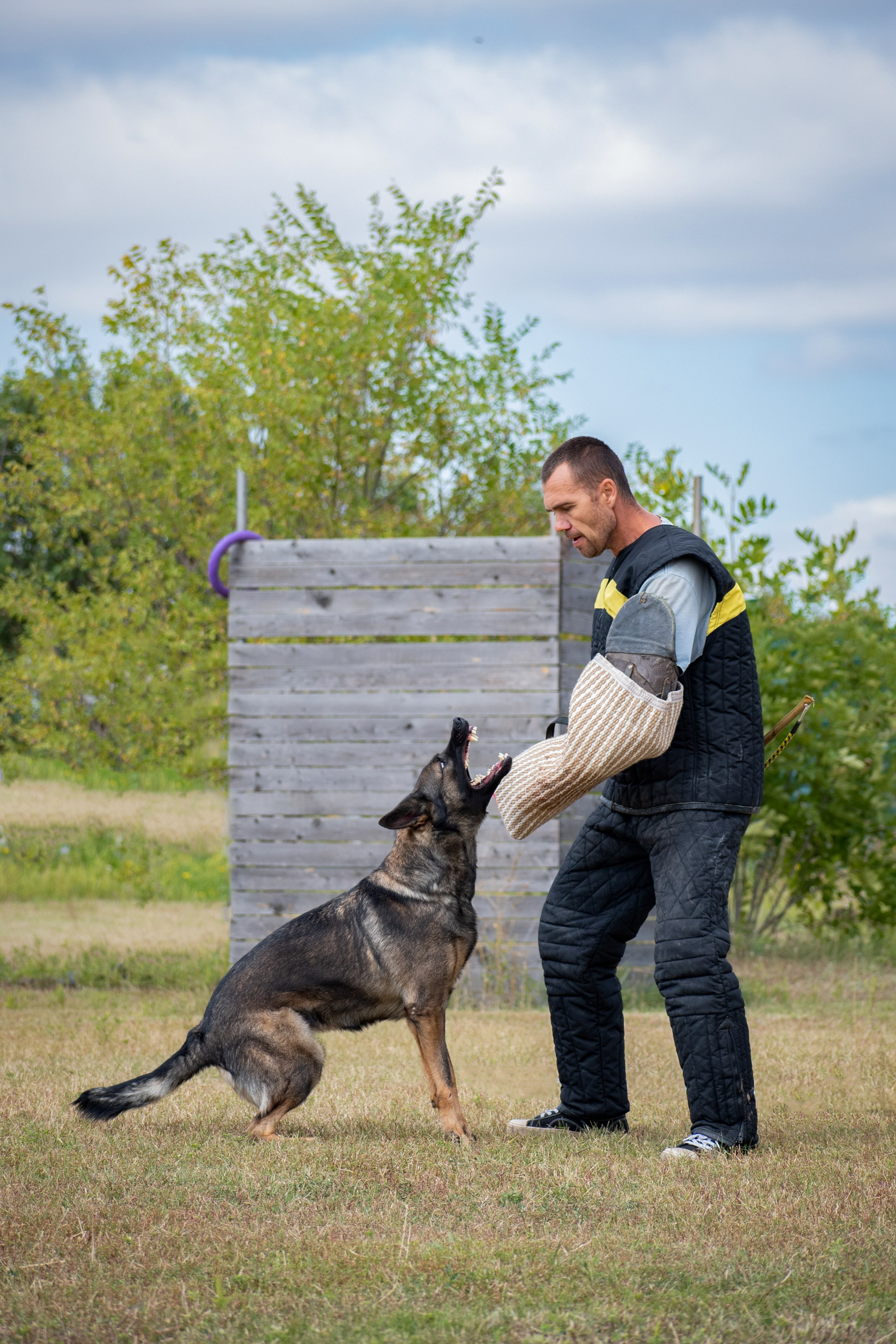 Выставки и дрессировка. Фотограф анималист в Ростове I Гончарова Анна