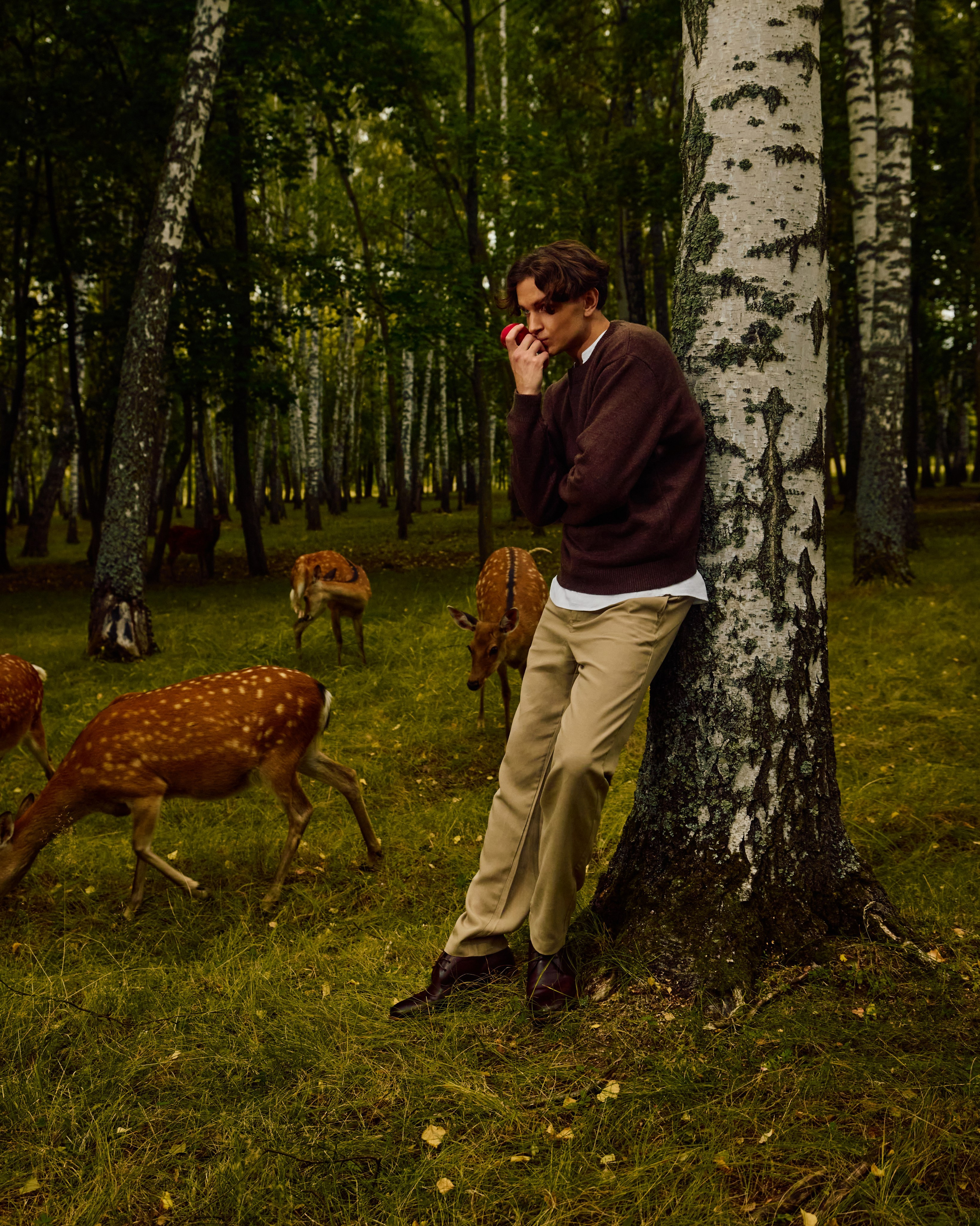 Собрано в саду. Святослав Лебедев | Рекламный фотограф — Коммерческая съемка, Арт-дирекшн, AI-интеграция