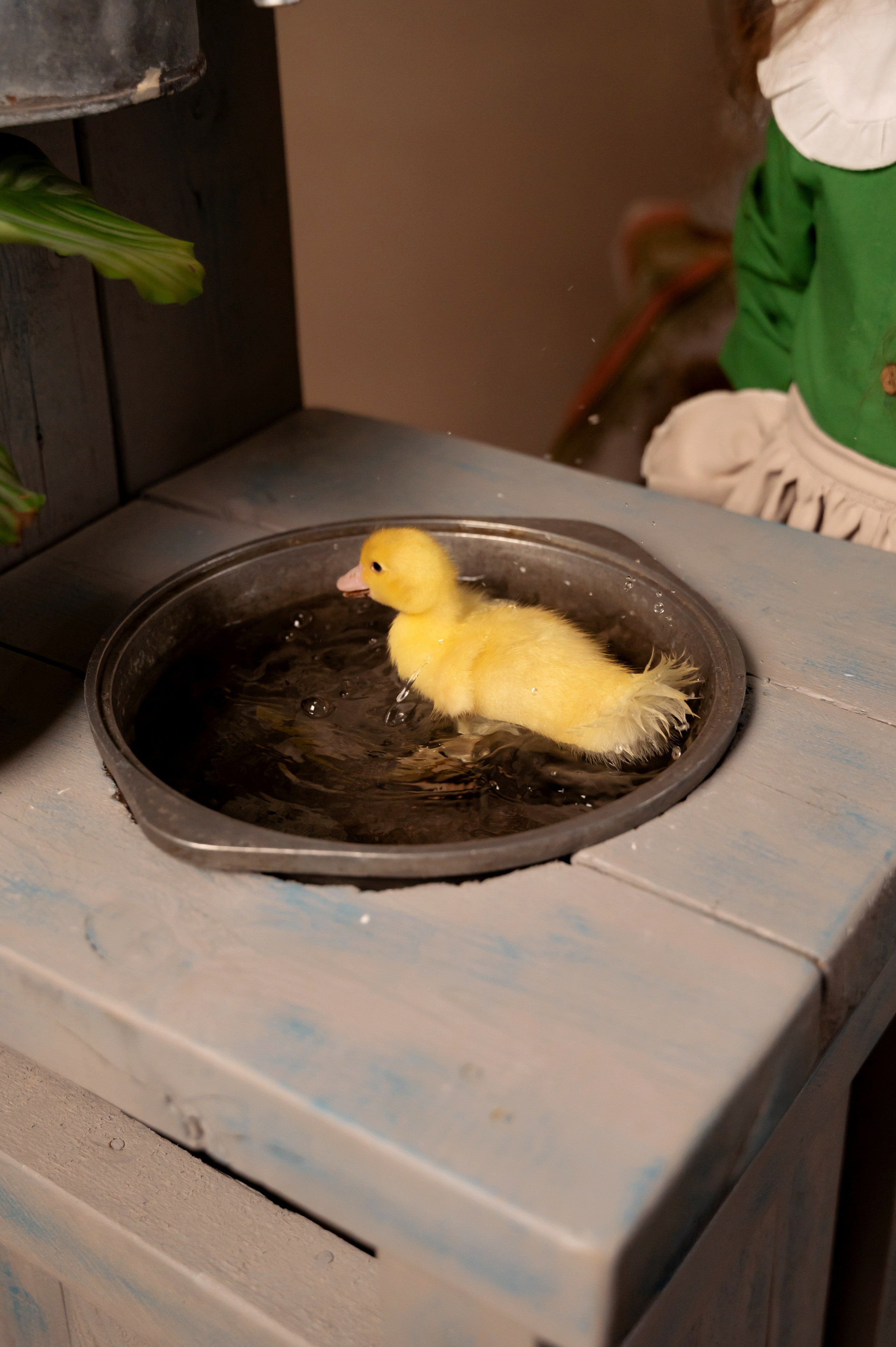 Купание утят. Елена Задорина