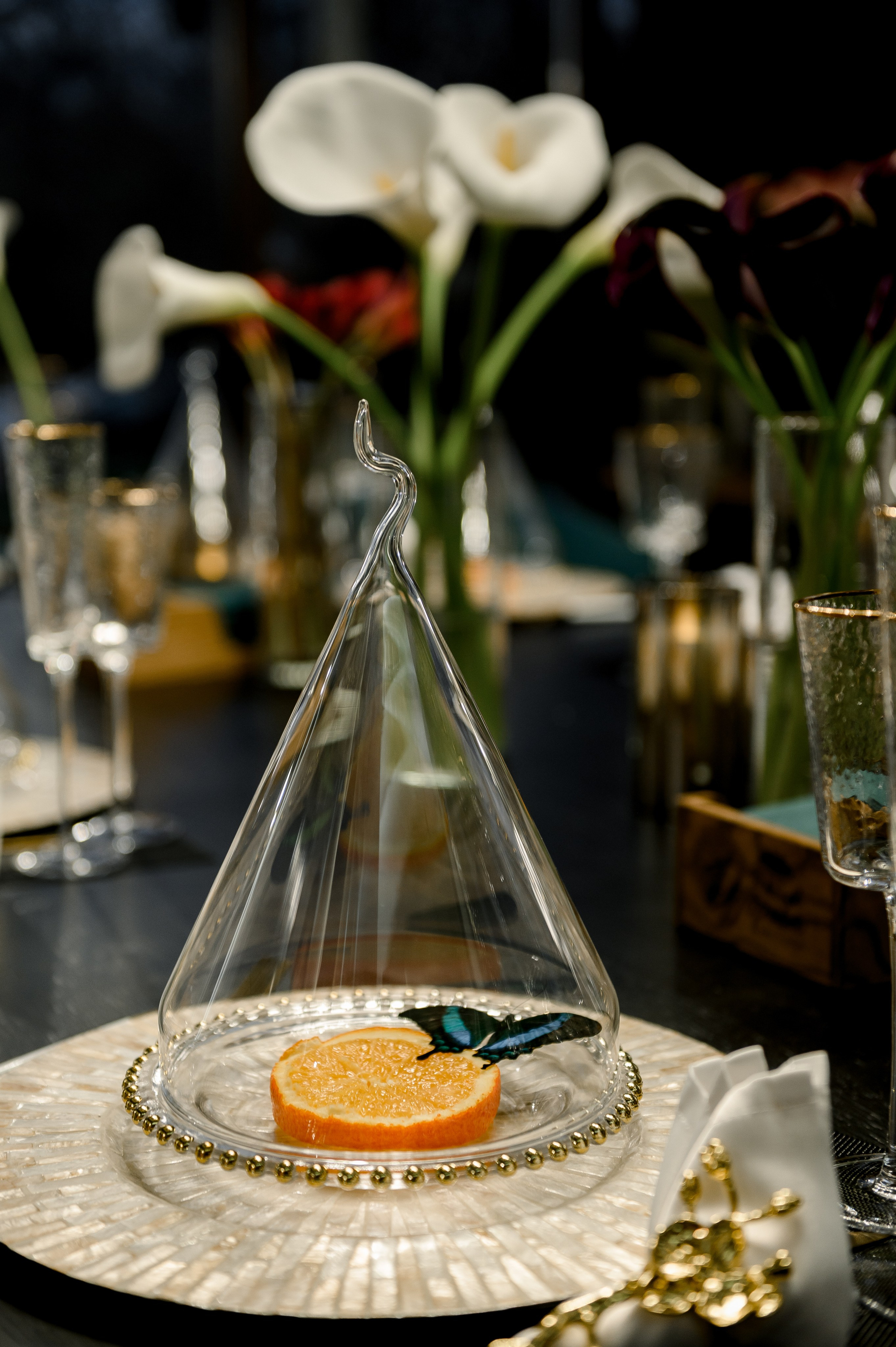 День Рождение Светланы. Свадебный и семейный фотограф в Ставрополе Роман Иванов