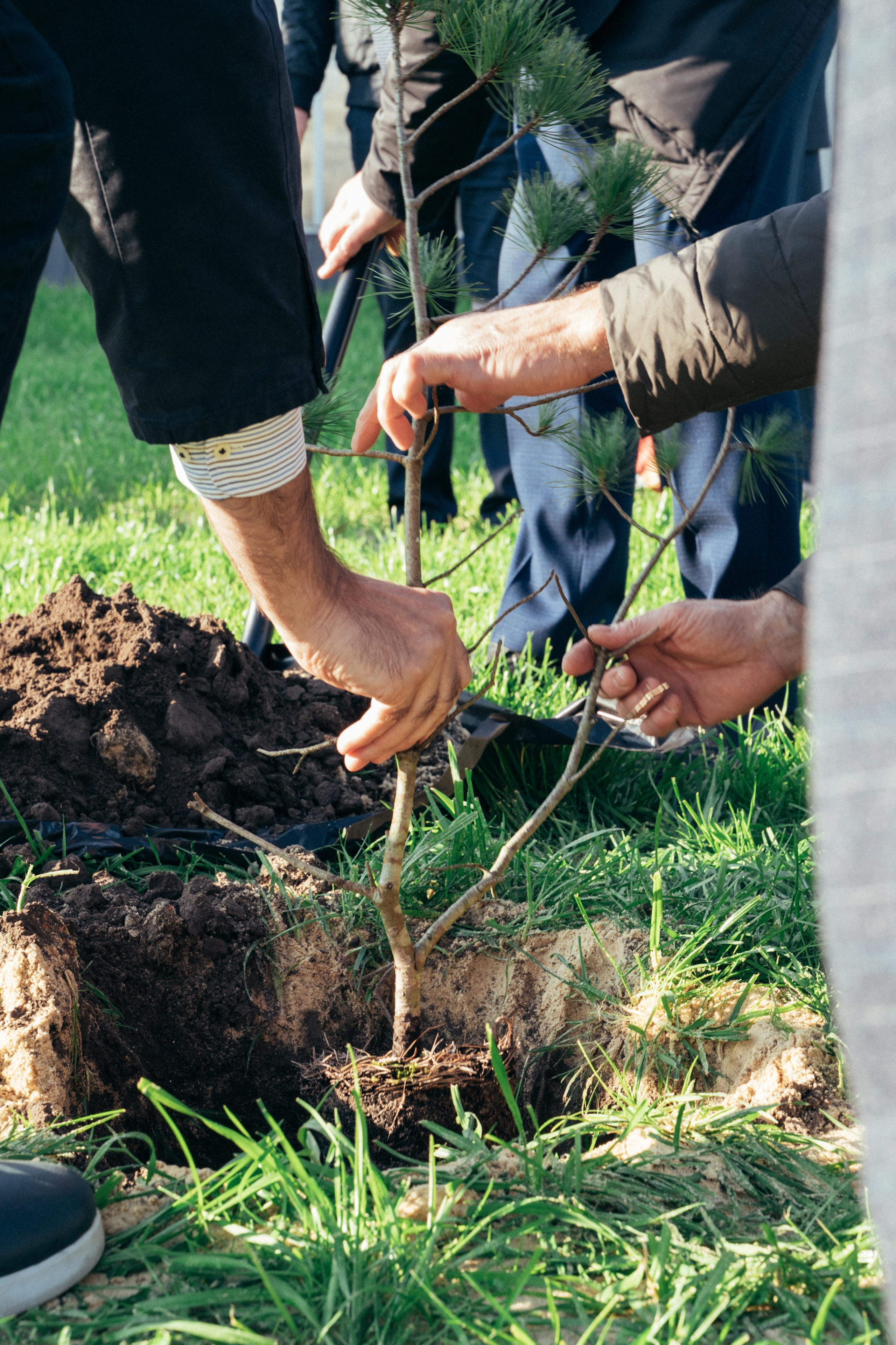 Международная конференция РАН